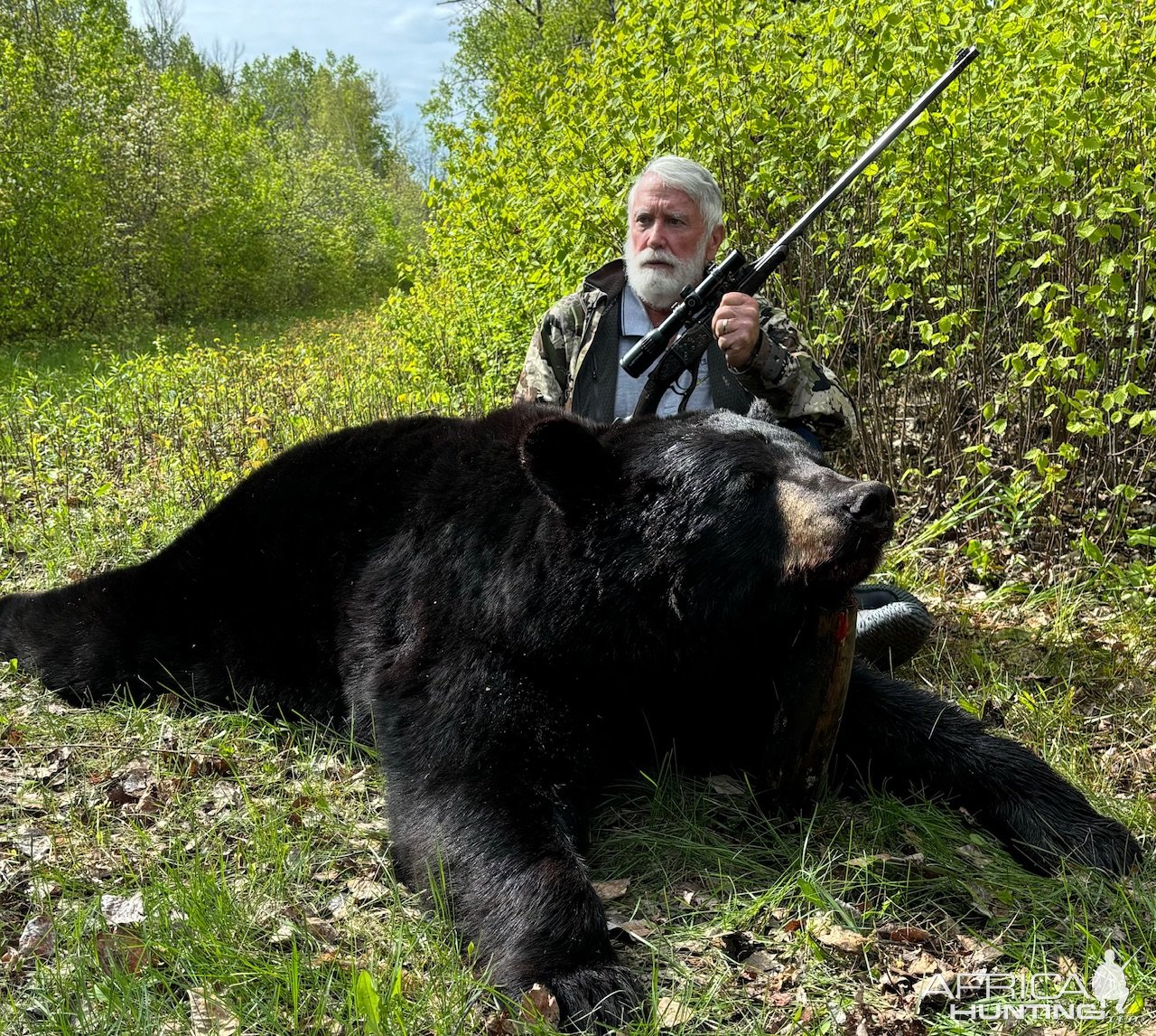 Bear Hunting | AfricaHunting.com