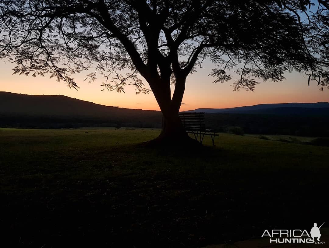 Beautiful sunset off the porch!