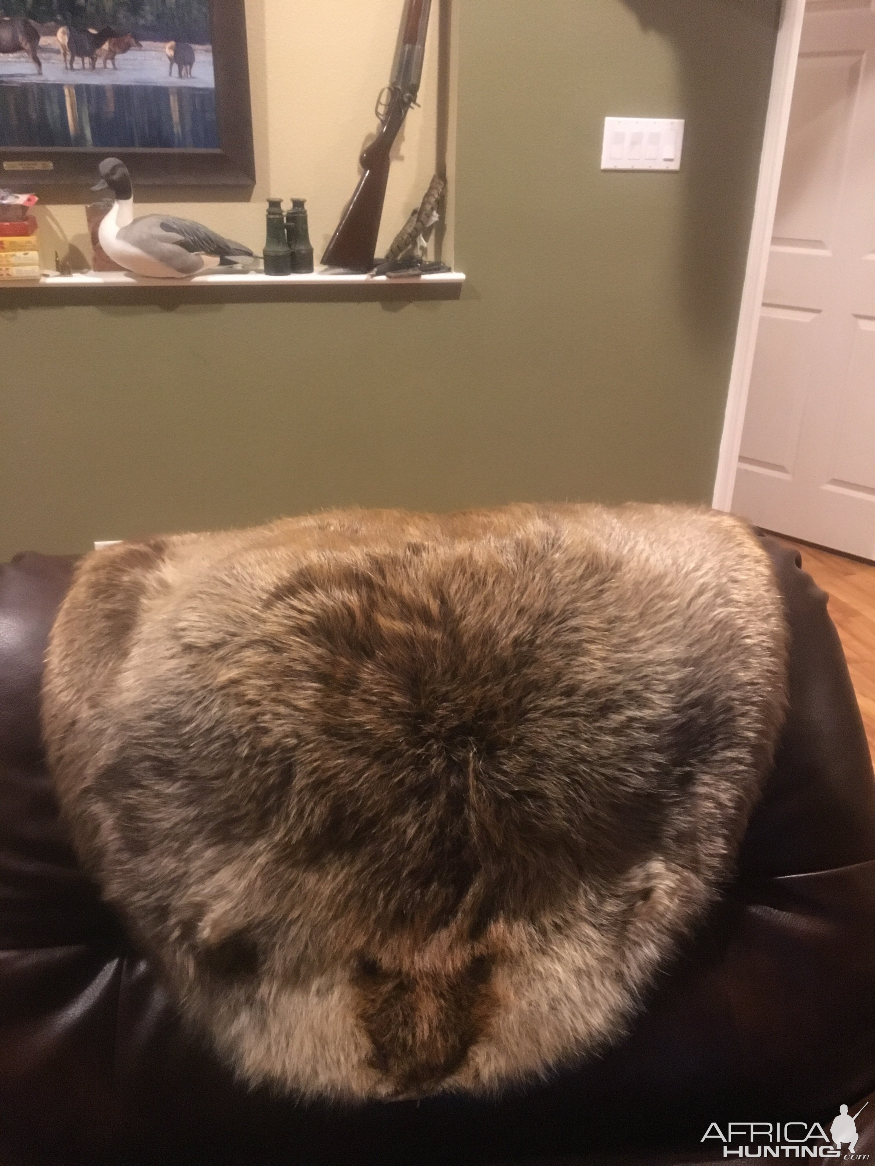 Beaver Rug