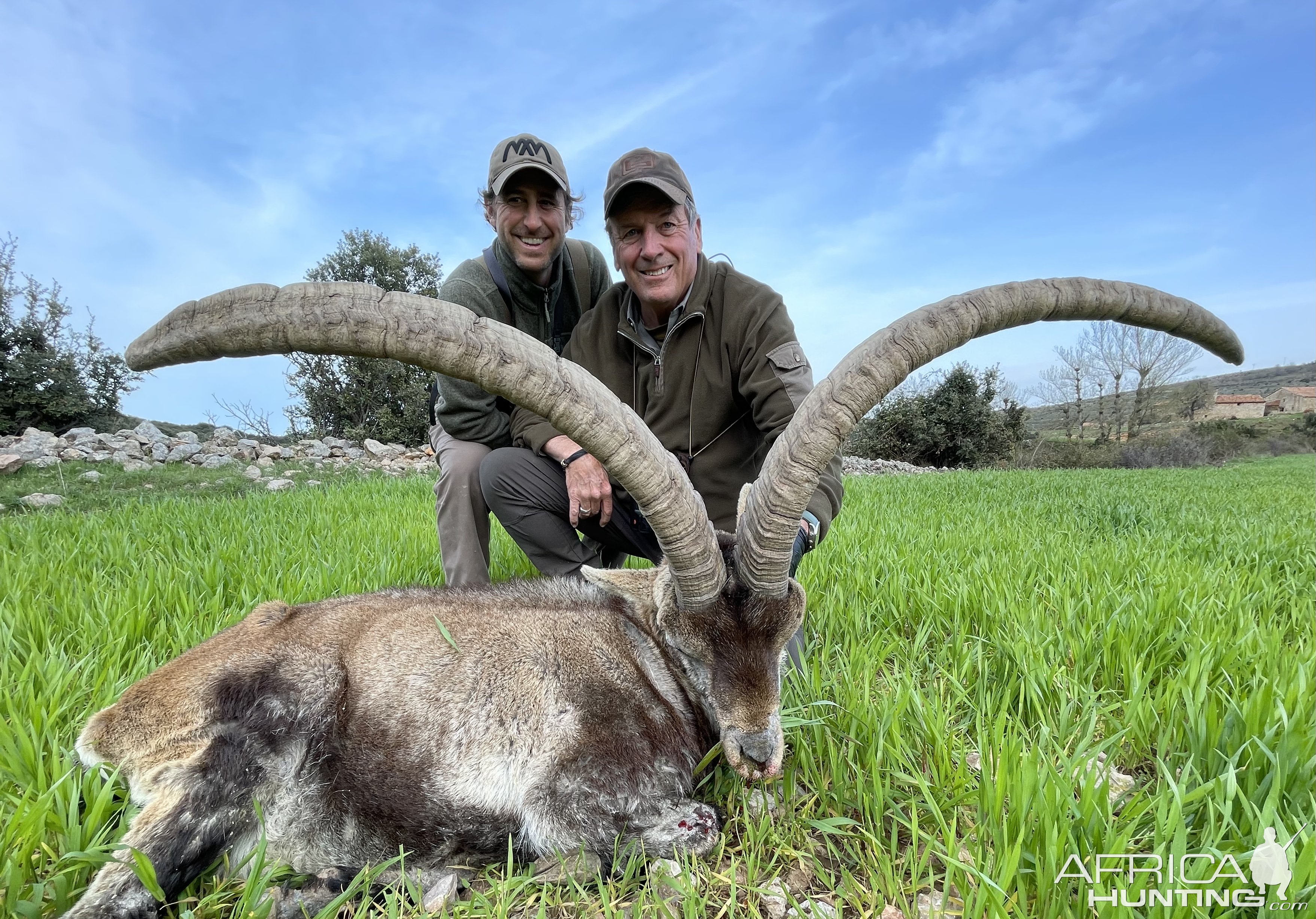 Beceite Ibex Hunt Spain