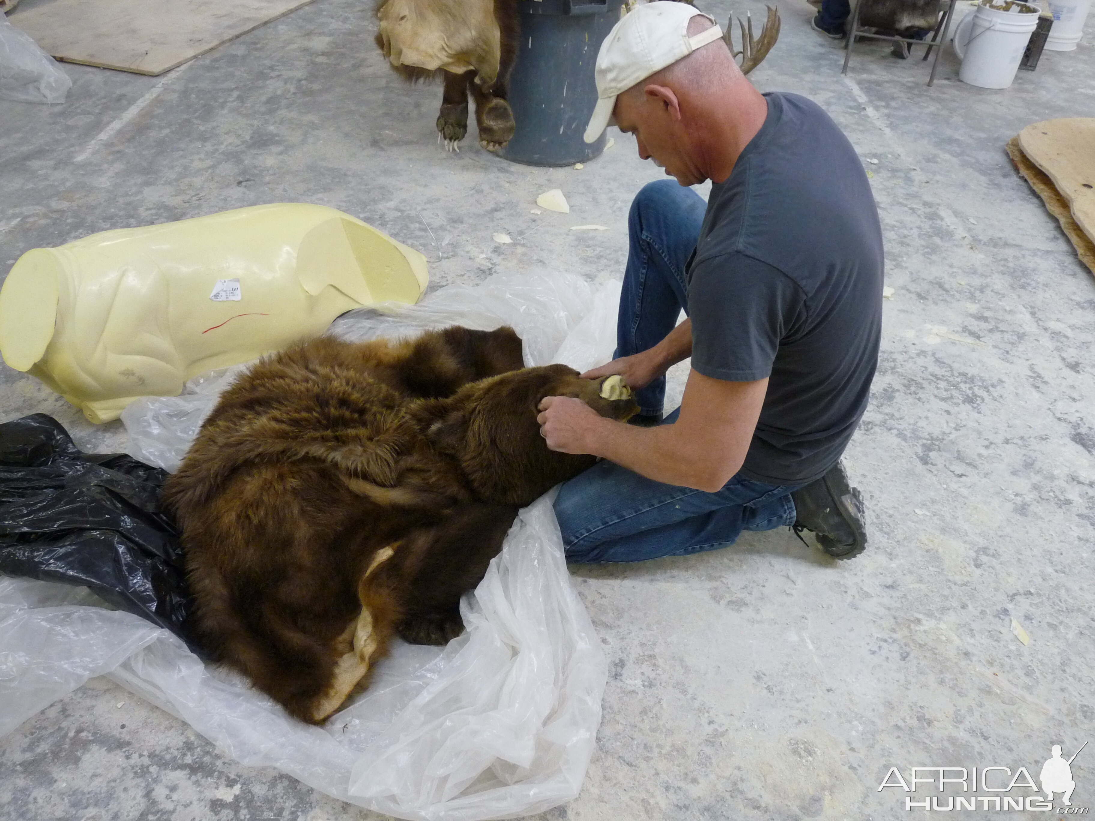 Behind the Scenes: Bear Mount