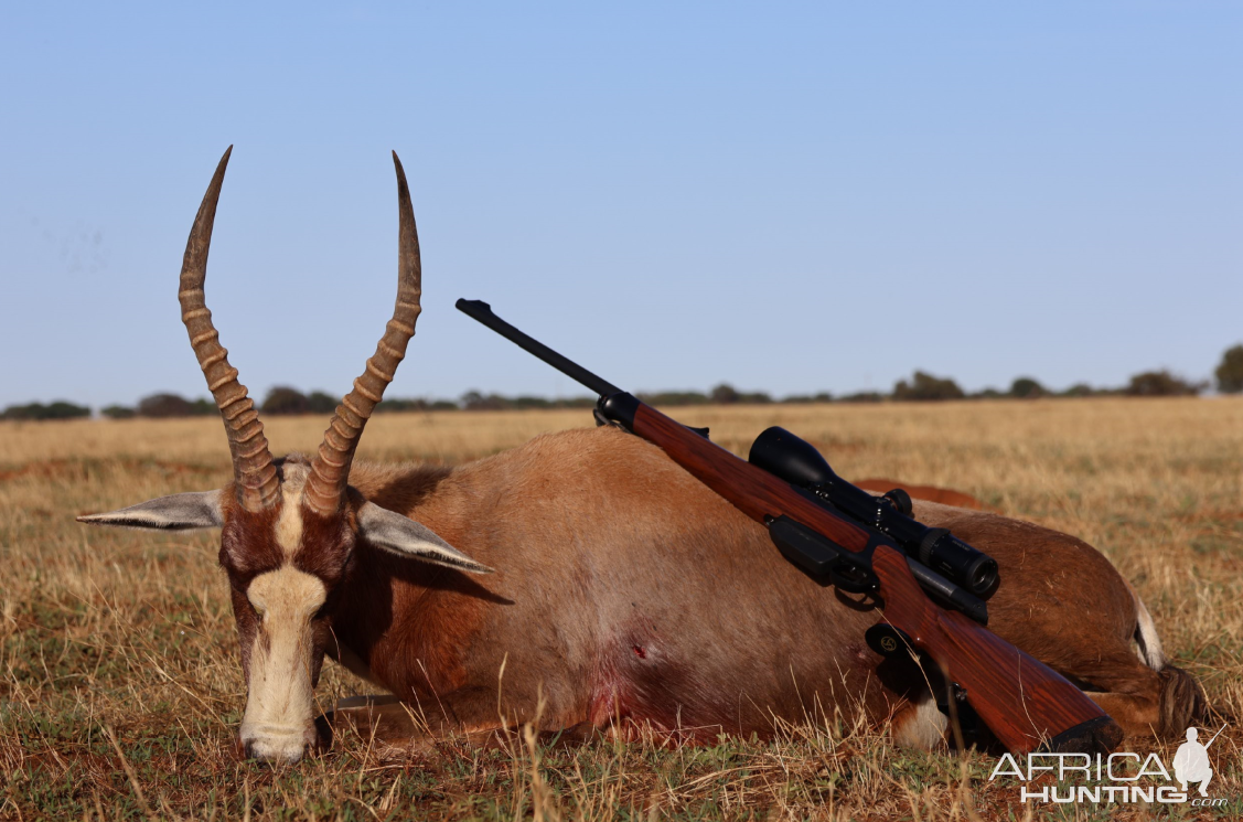 Belsbok Hunt South Africa