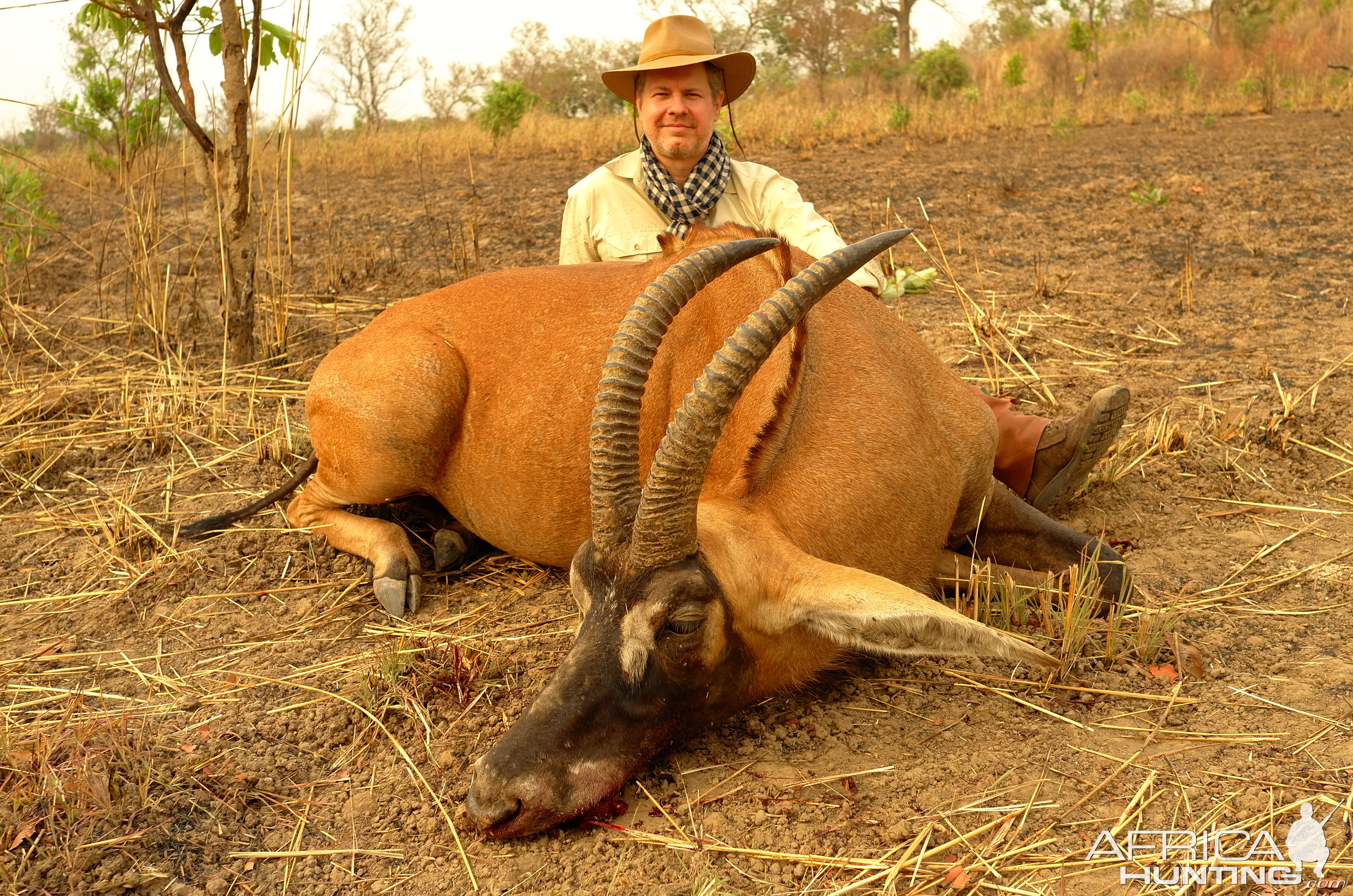 Benin Hunting Roan