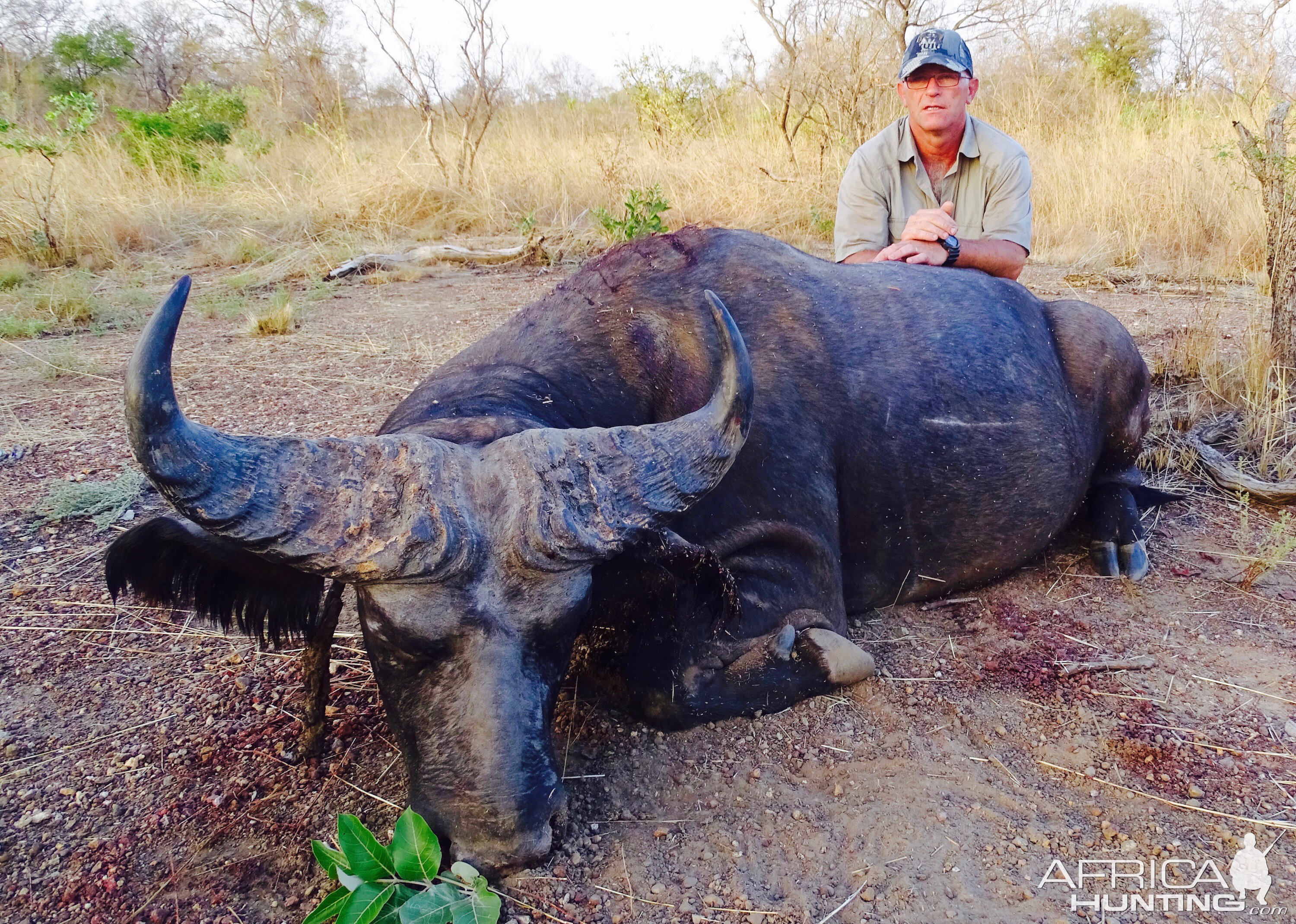 Benin Hunting West African Savannah Buffalo