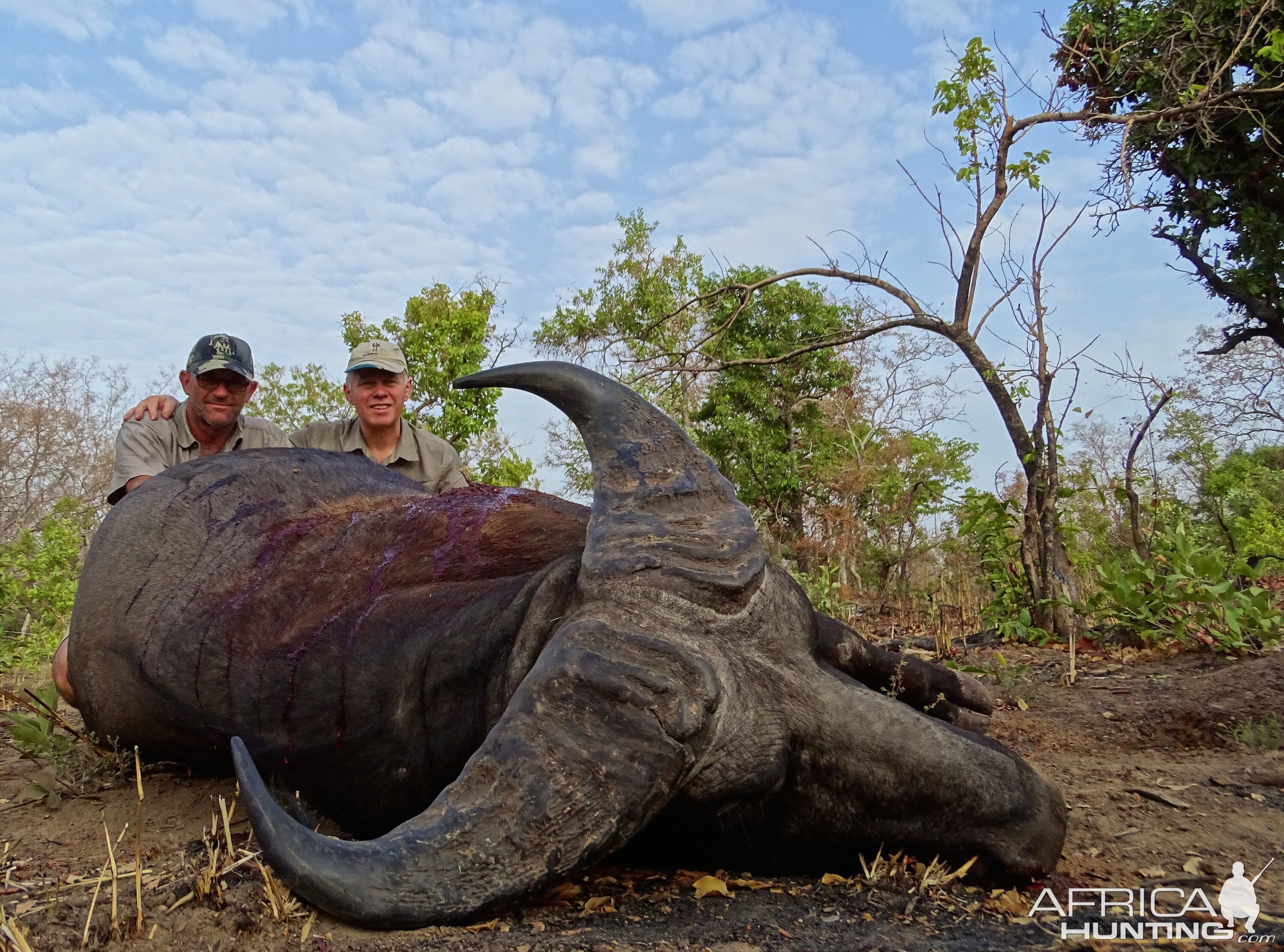 Benin West African Savanna Buffalo Hunt