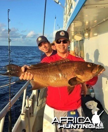 Big Broomtail Scamp Grouper, Dry Totugas