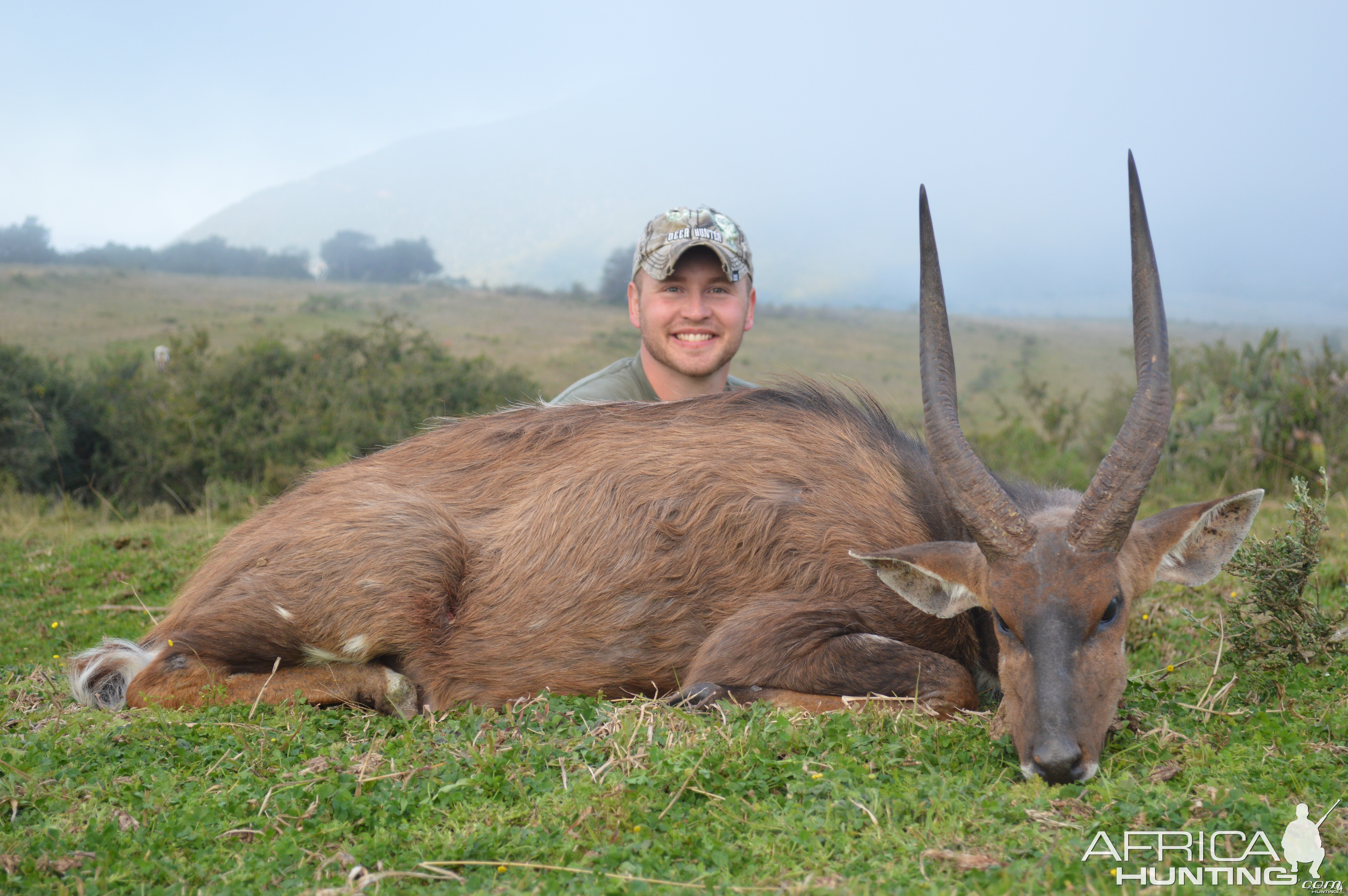 Big Cape Bushbuck