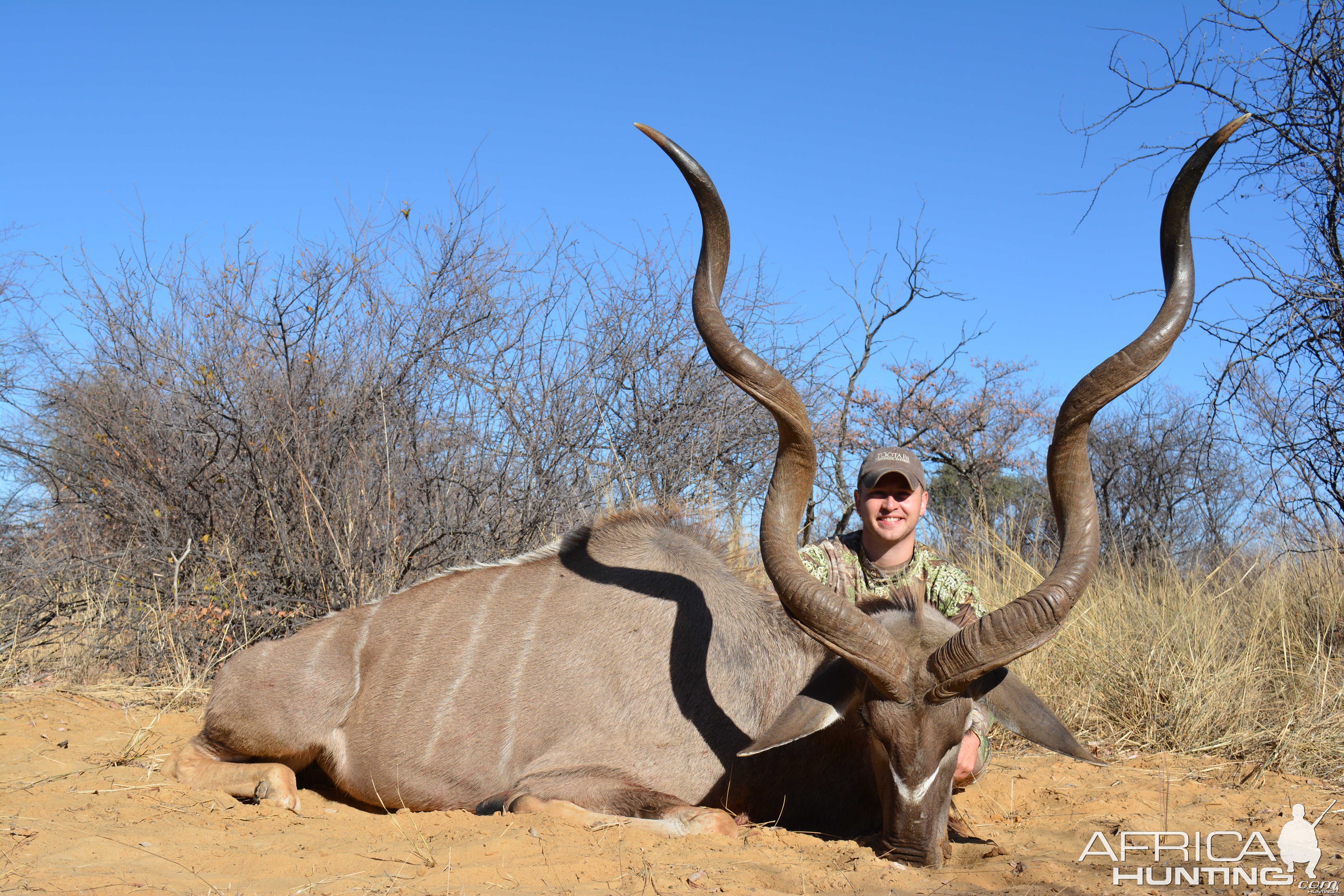 Big Kudu