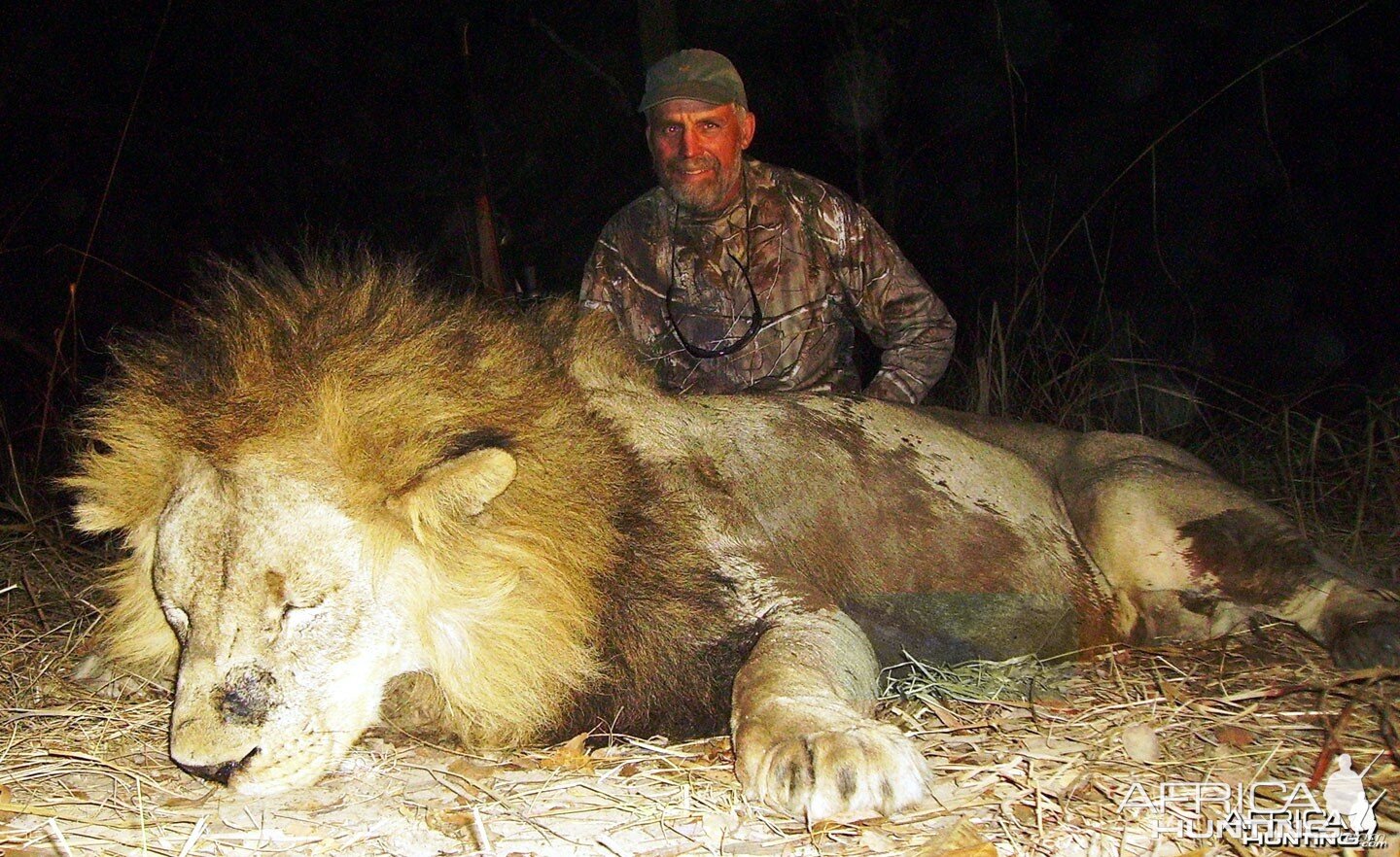 Big Lion hunted in Zambia with Prohunt Zambia