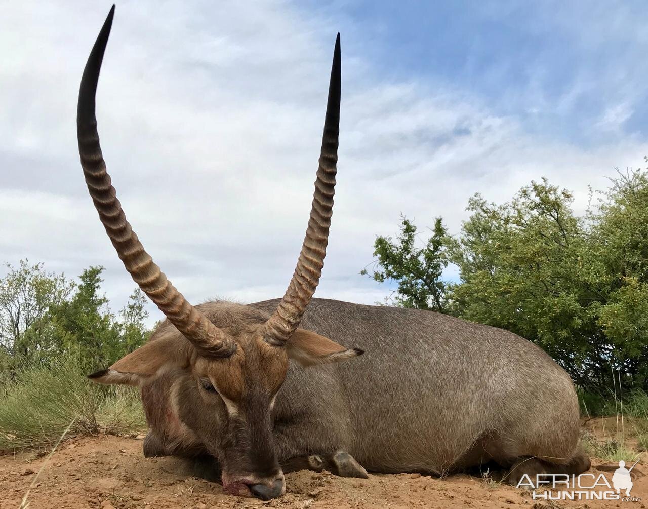 Big Waterbuck with JKO Hunting Safaris