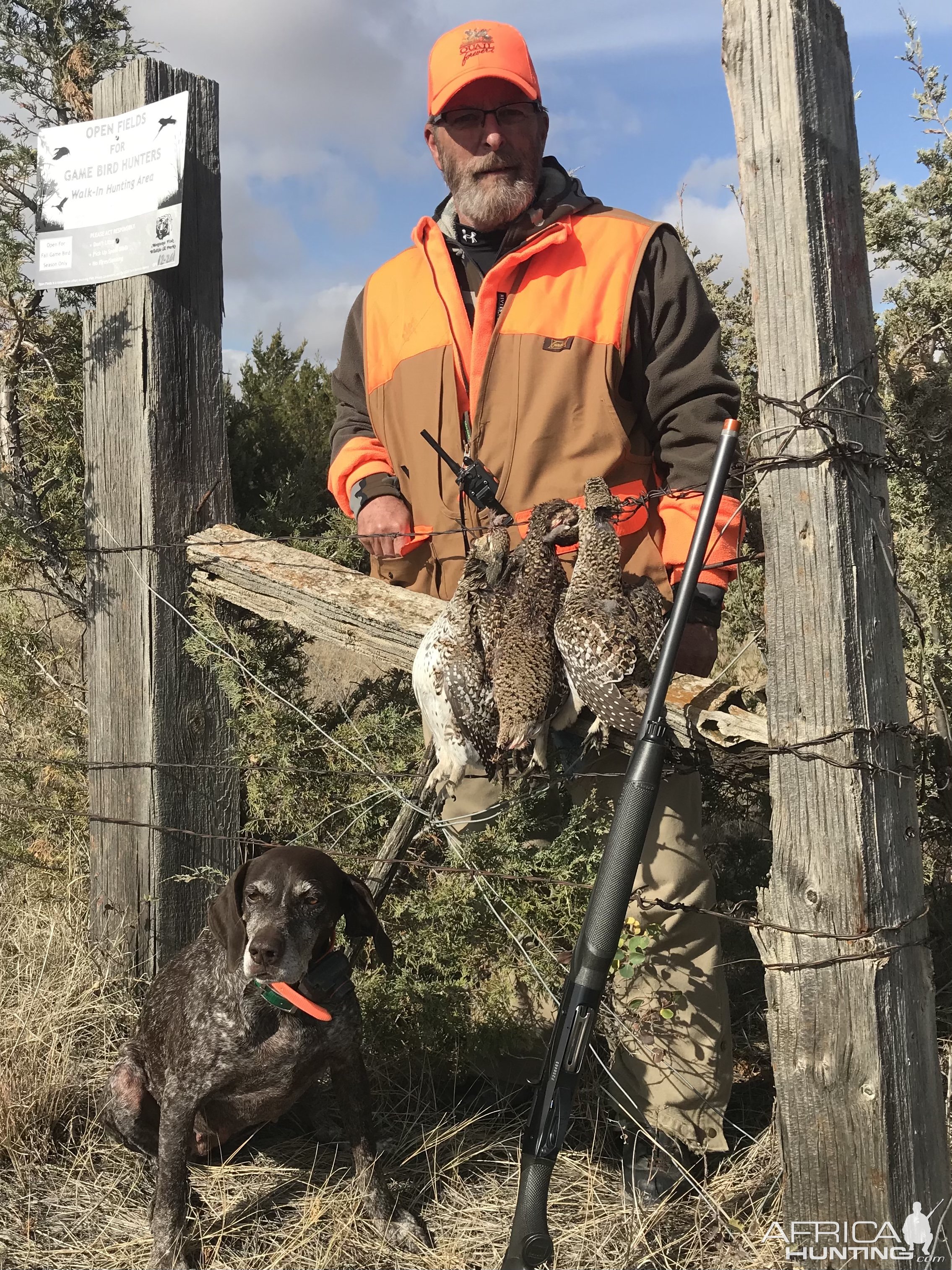 Bird Hunt Montana