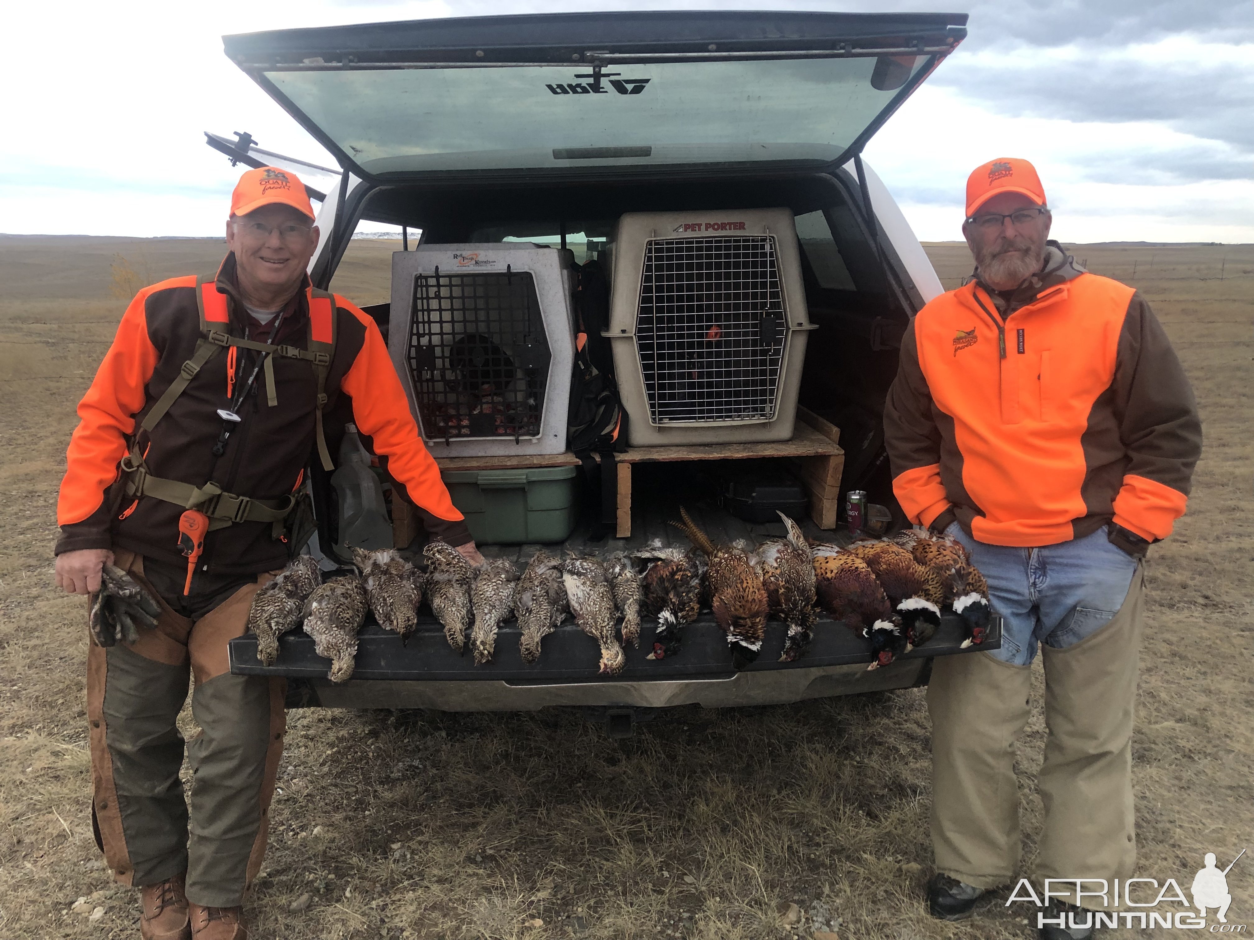 Bird Hunt Montana