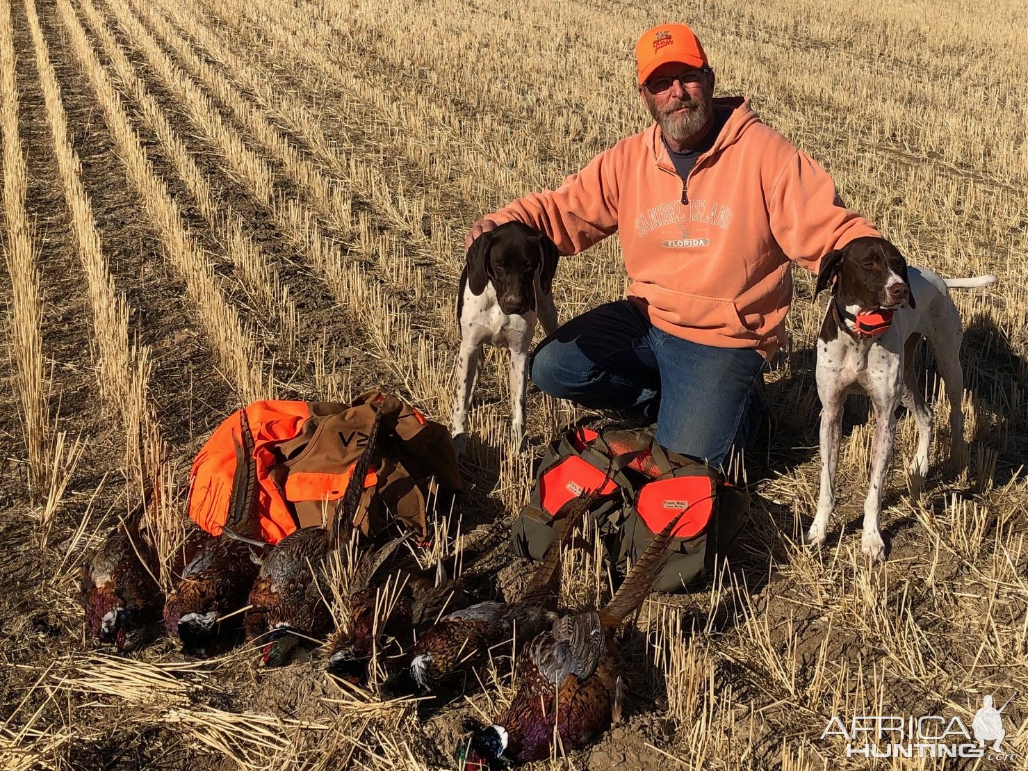 Bird Hunt Montana