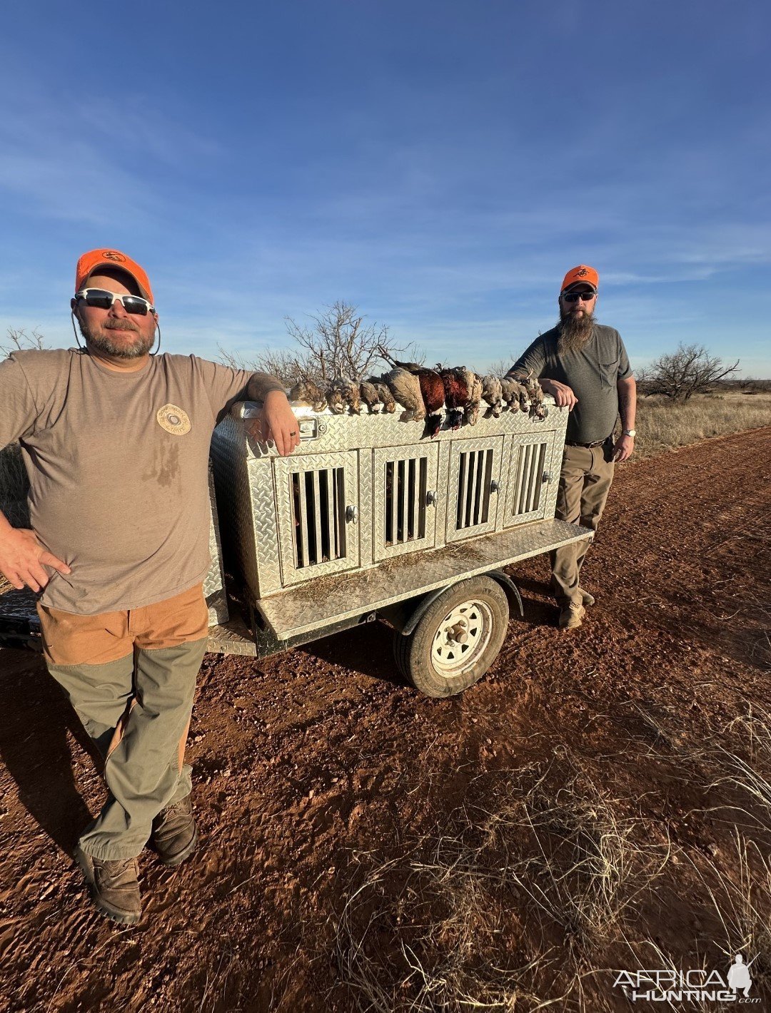 Bird Hunt Texas