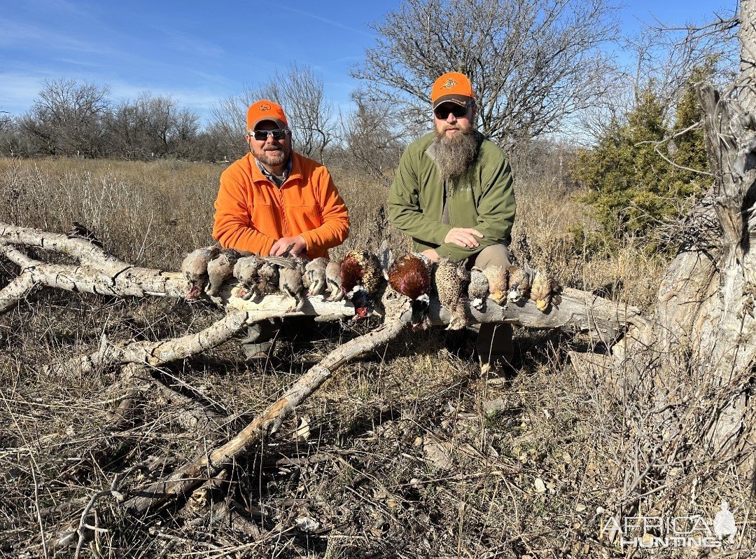 Bird Hunt Texas