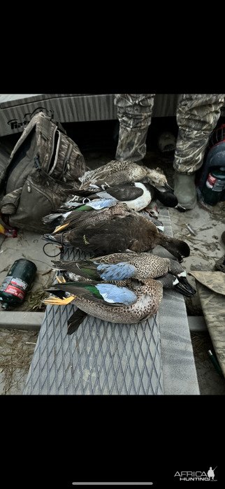 Bird Hunting Catahoula Lake Louisiana