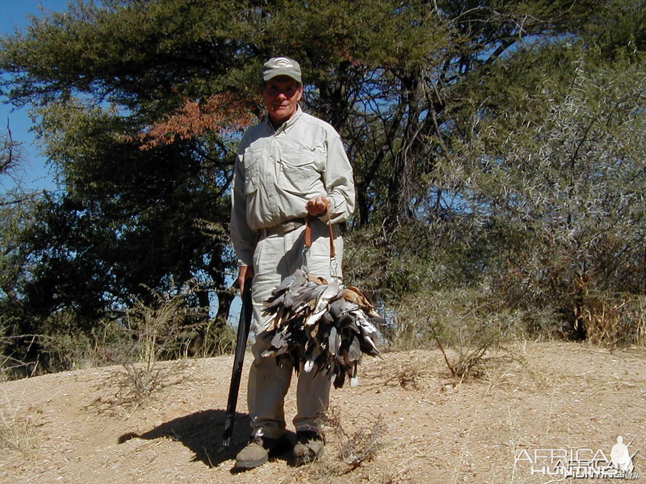 Bird Hunting Namibia Africa