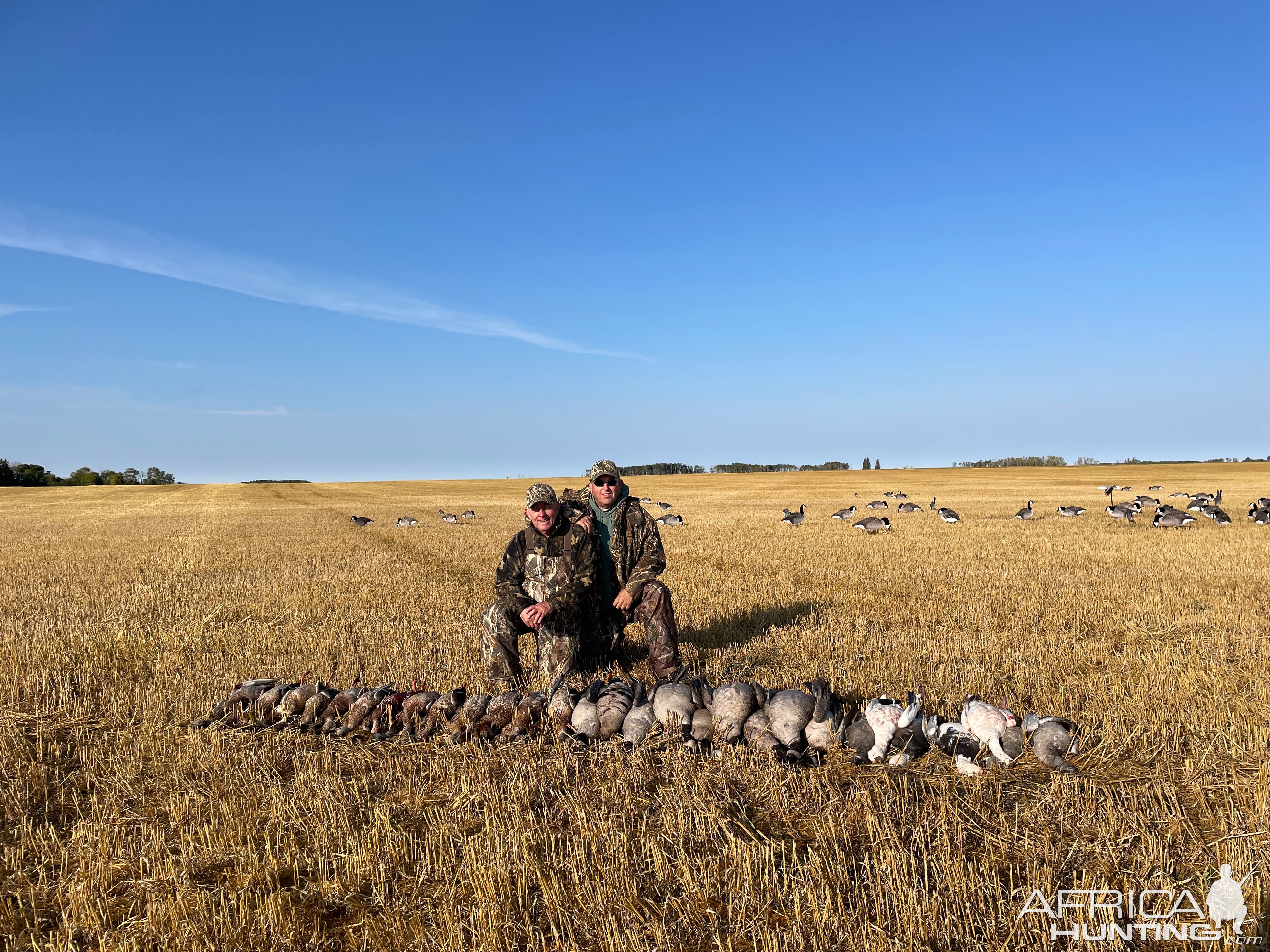 Bird Hunting Saskatchewan