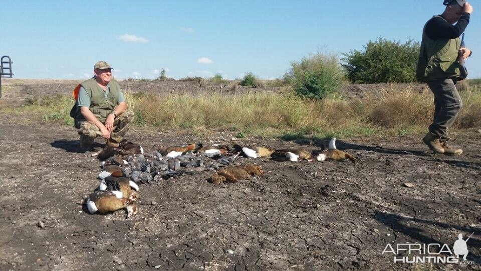 Bird Hunting South Africa