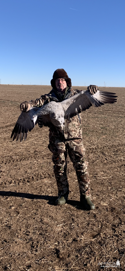 Bird Hunting Texas