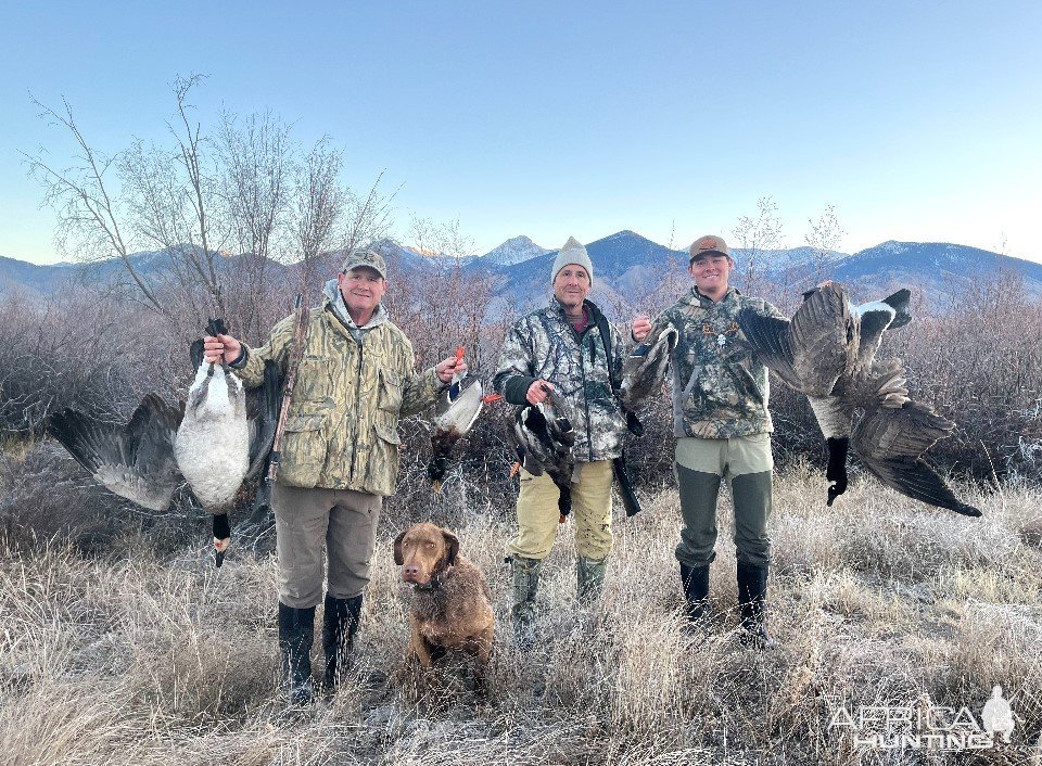 Bird Hunting Utah