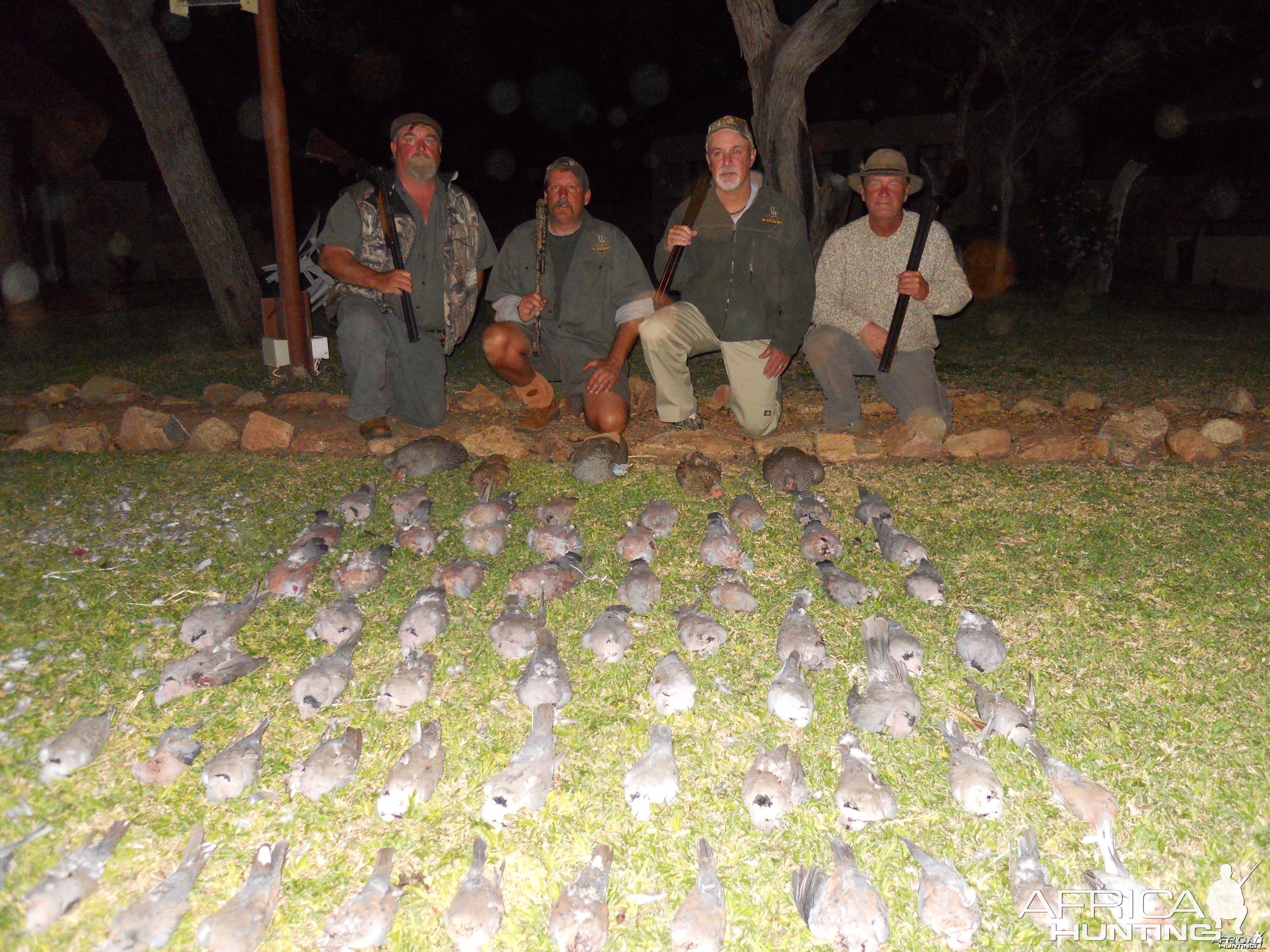 Birds, Motsomi Safaris, 7/13