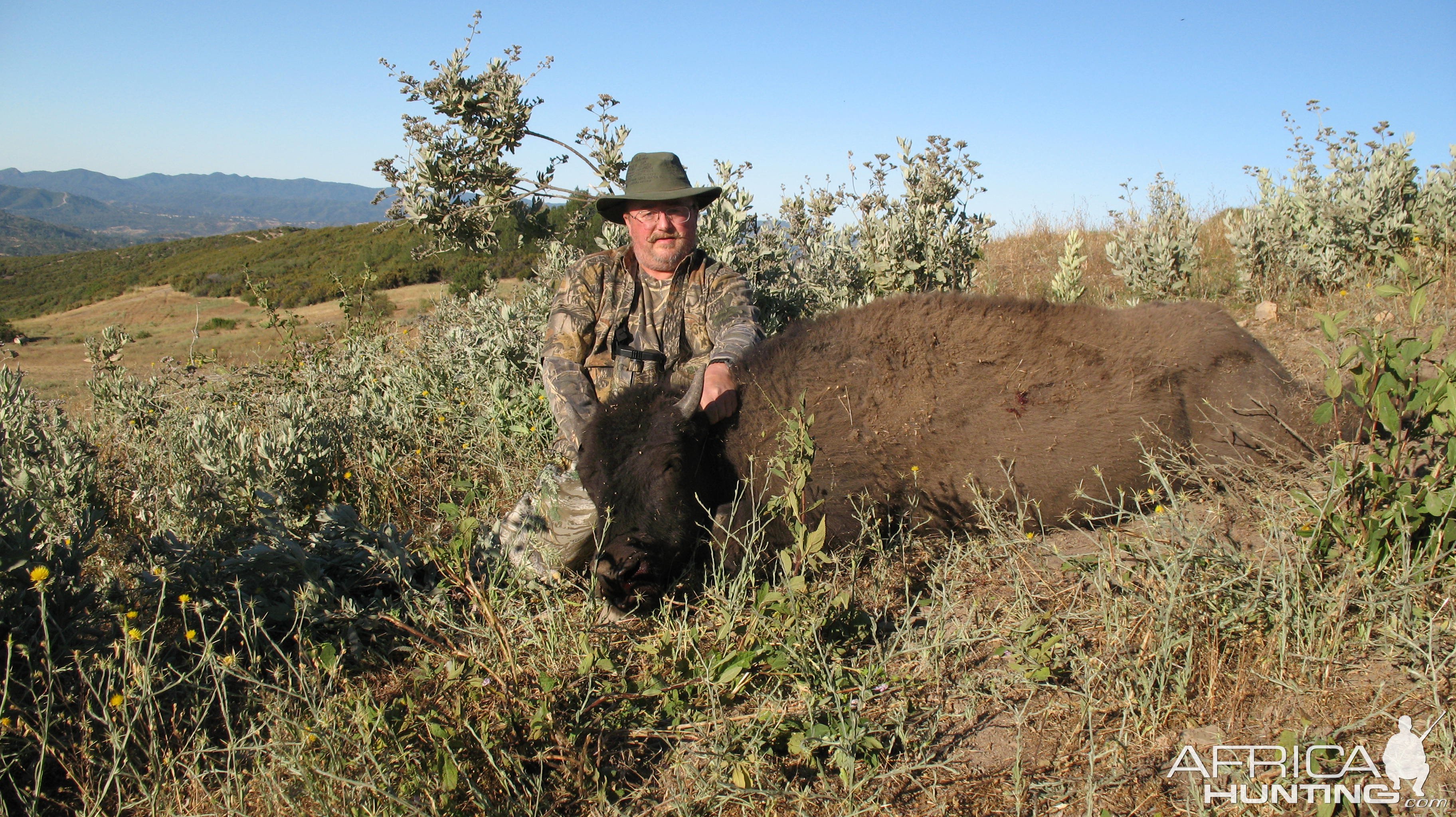 Bison Hunt King City