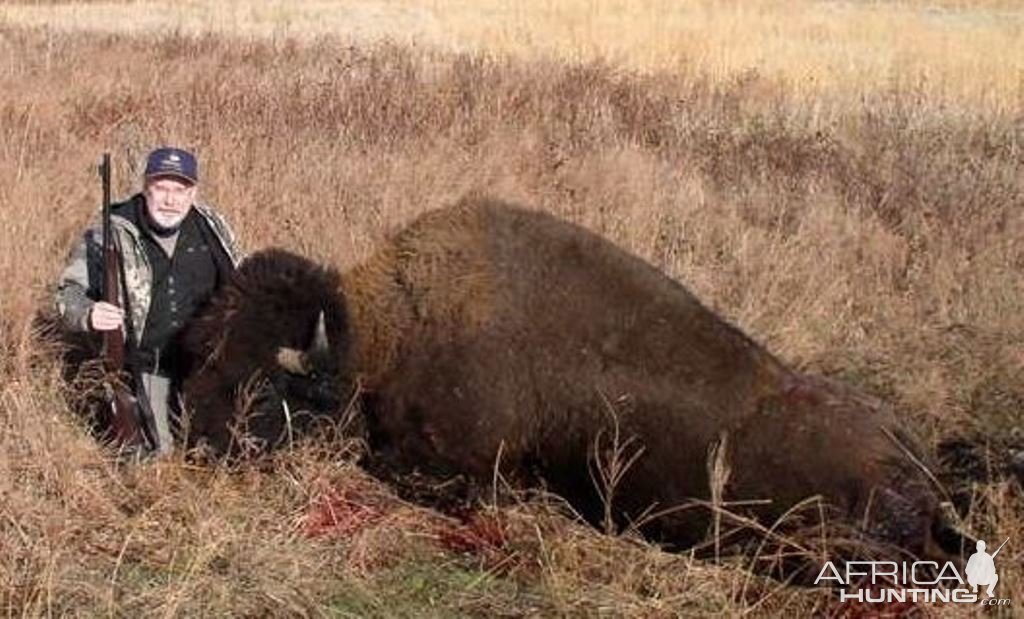 Bison Hunt