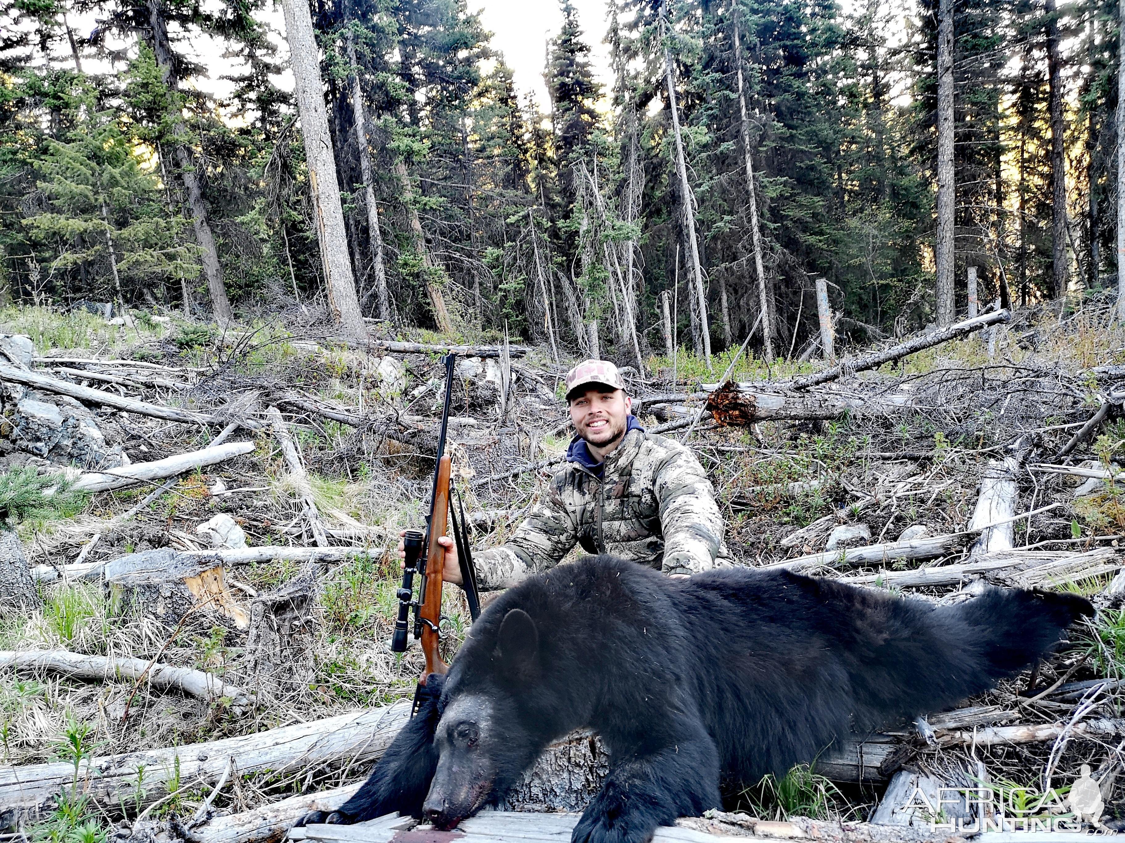 Black bear Hunt Canada