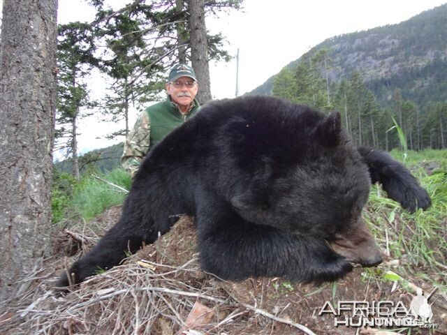 Black Bear Hunt in Canada