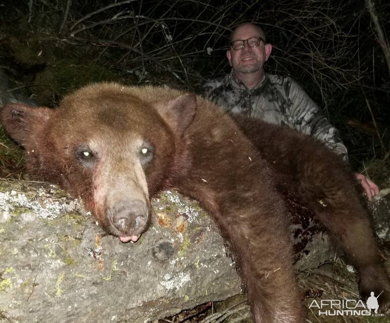 Black Bear Hunting Northern Idaho