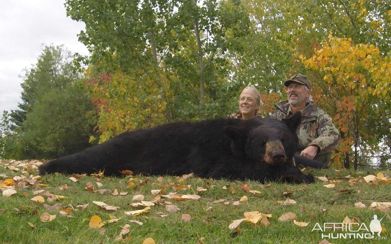 Black Bear Hunting