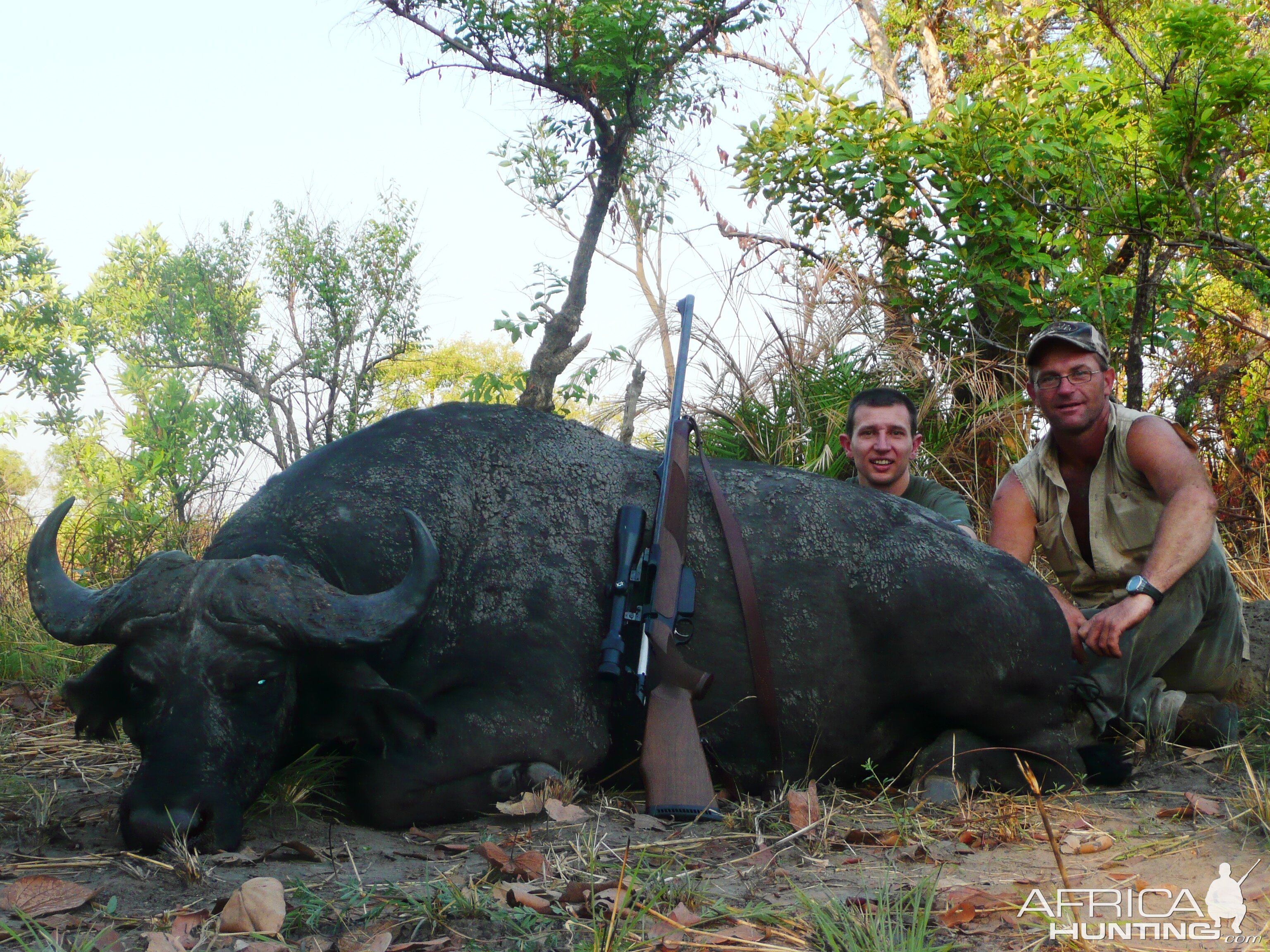 Black Buffalo bull hunted in CAR