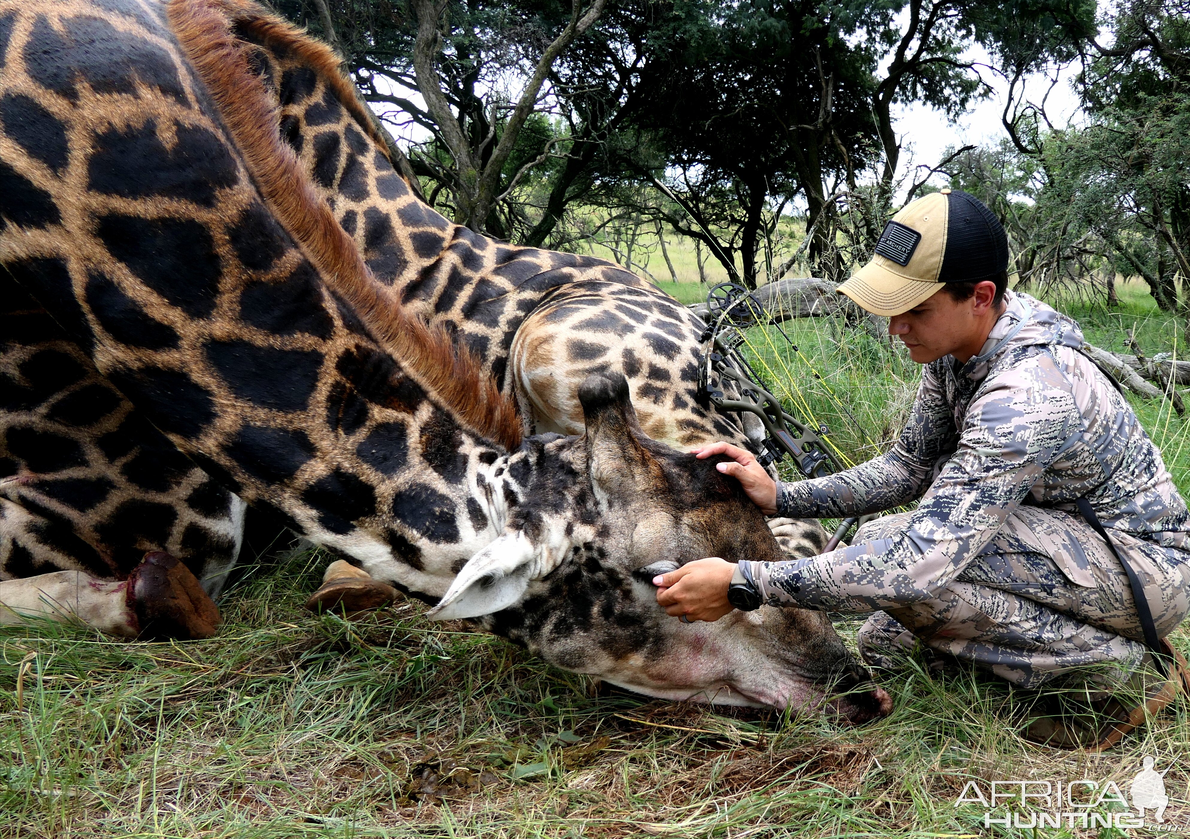 Black Giraffe Bow Hunt