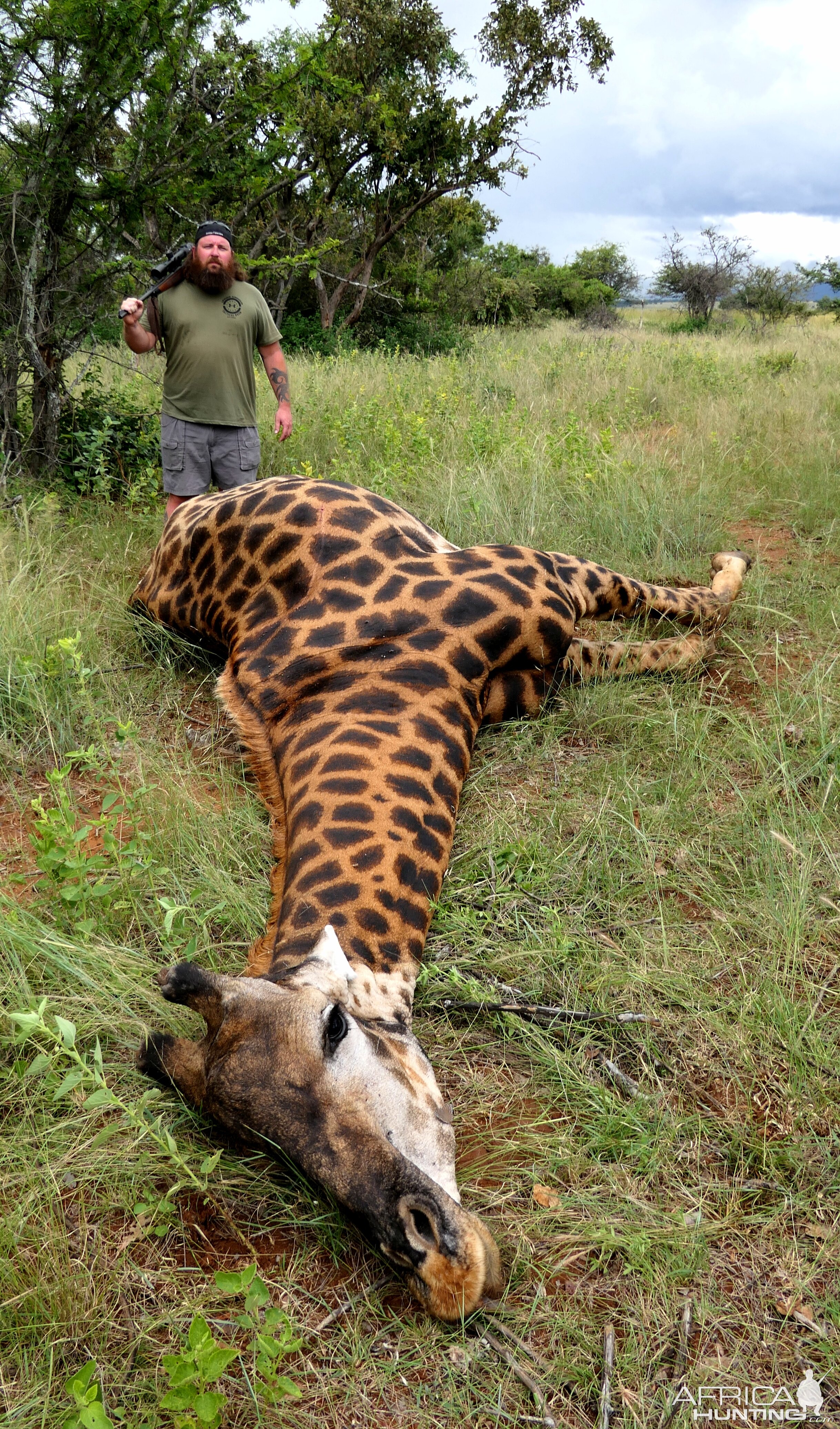 Black Giraffe Hunting