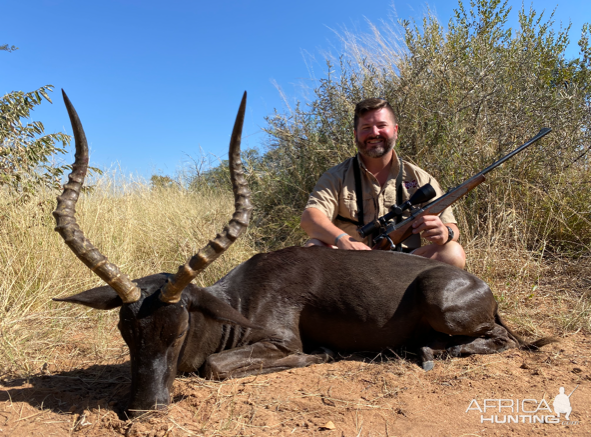 Black Impala Hunt South Africa