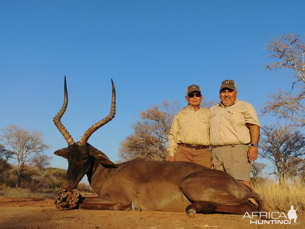 Black Impala Hunt South Africa