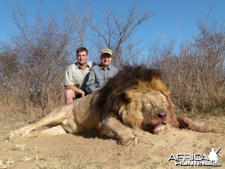 Black Maned Lion hunted with Hartzview Hunting Safaris