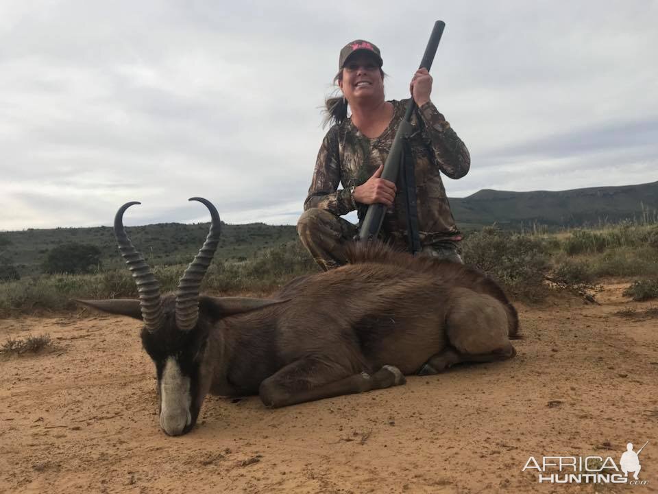 Black Springbok Hunting in South Africa