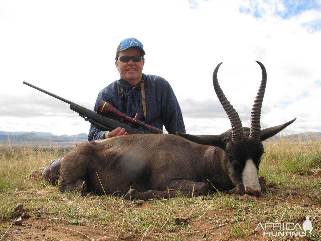 Black Springbok Hunting South Africa