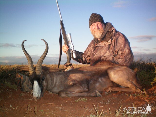 Black Springbok Hunting