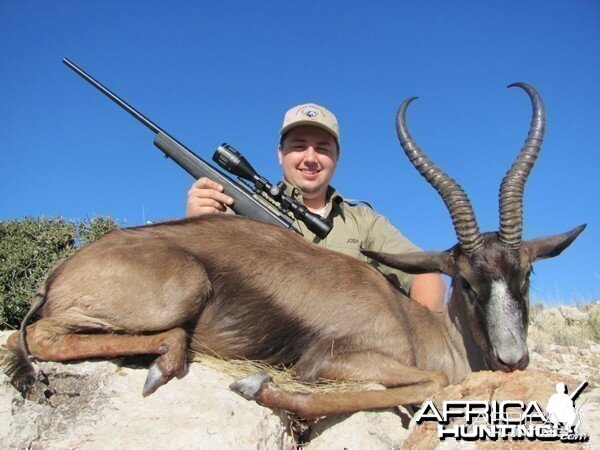 Black Springbok