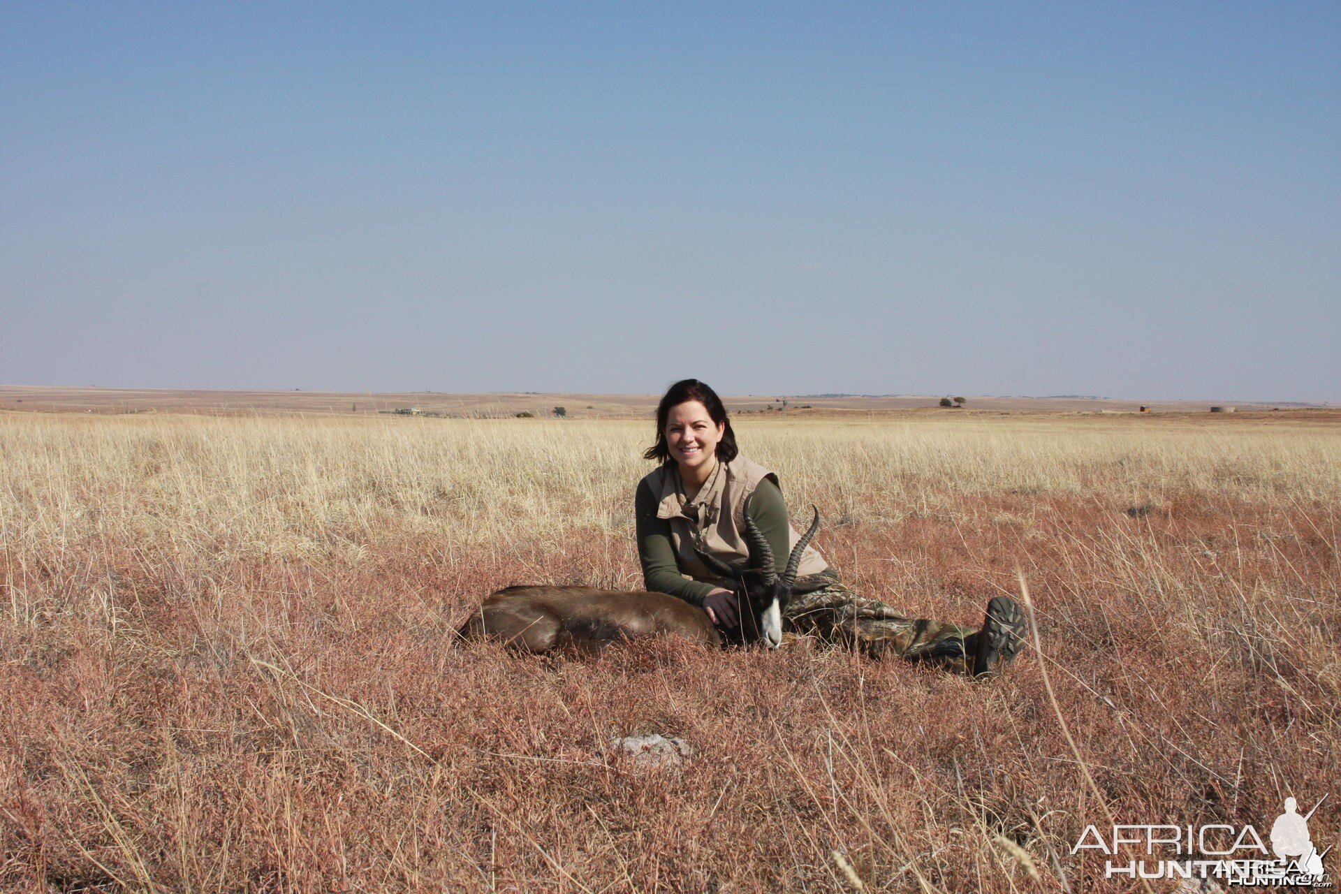 Black Springbok