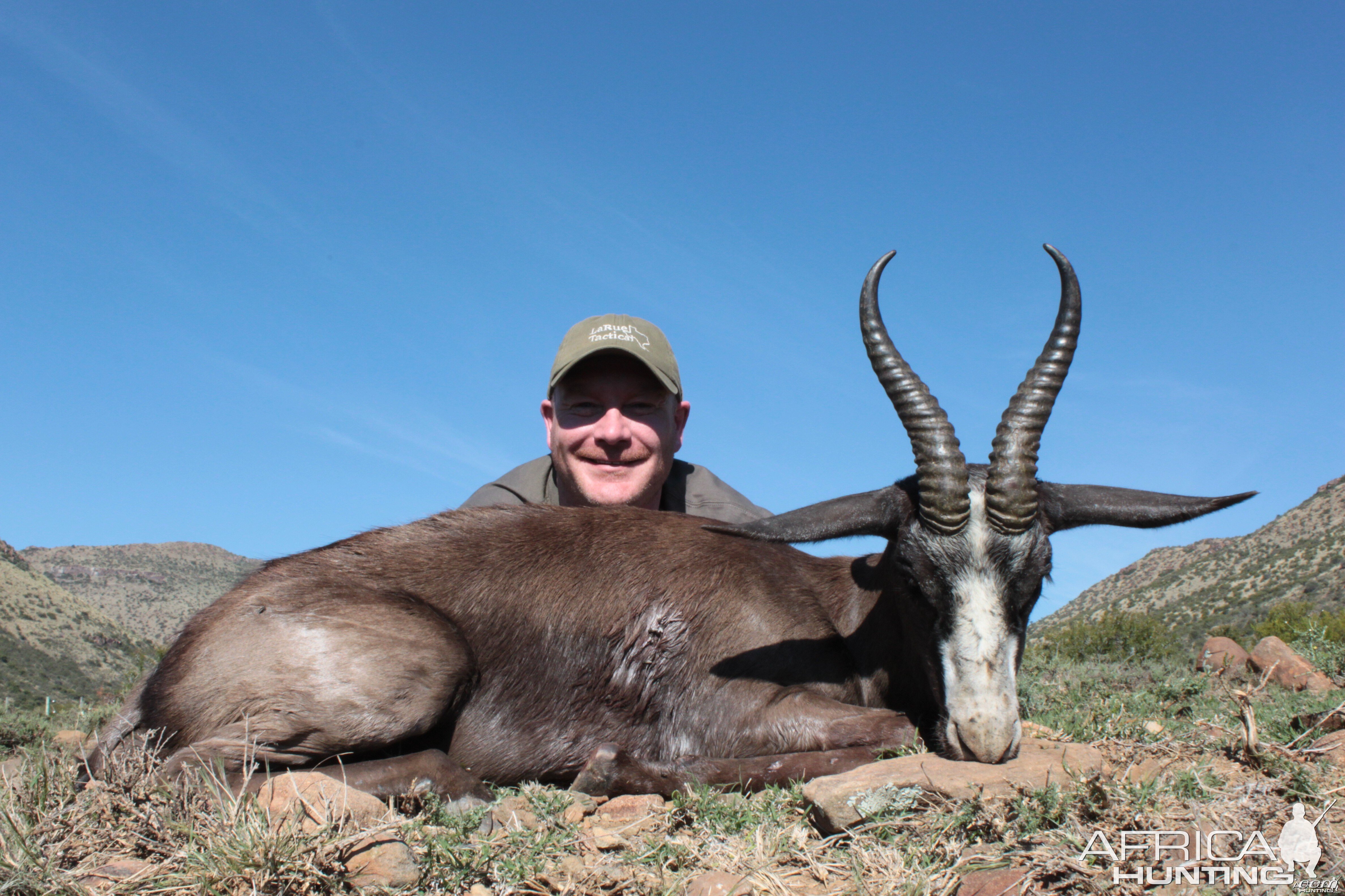 Black Springbok