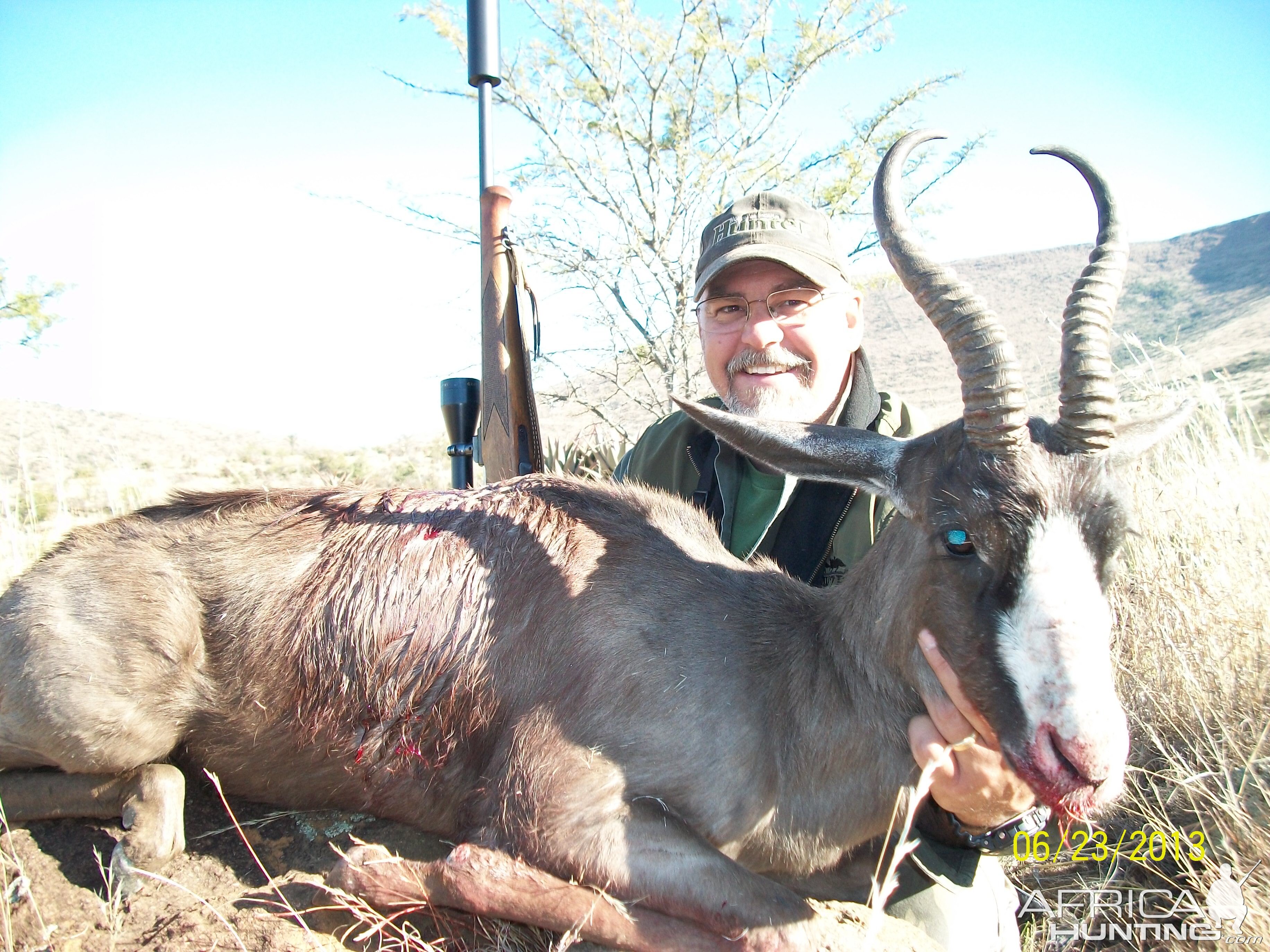 black springbok