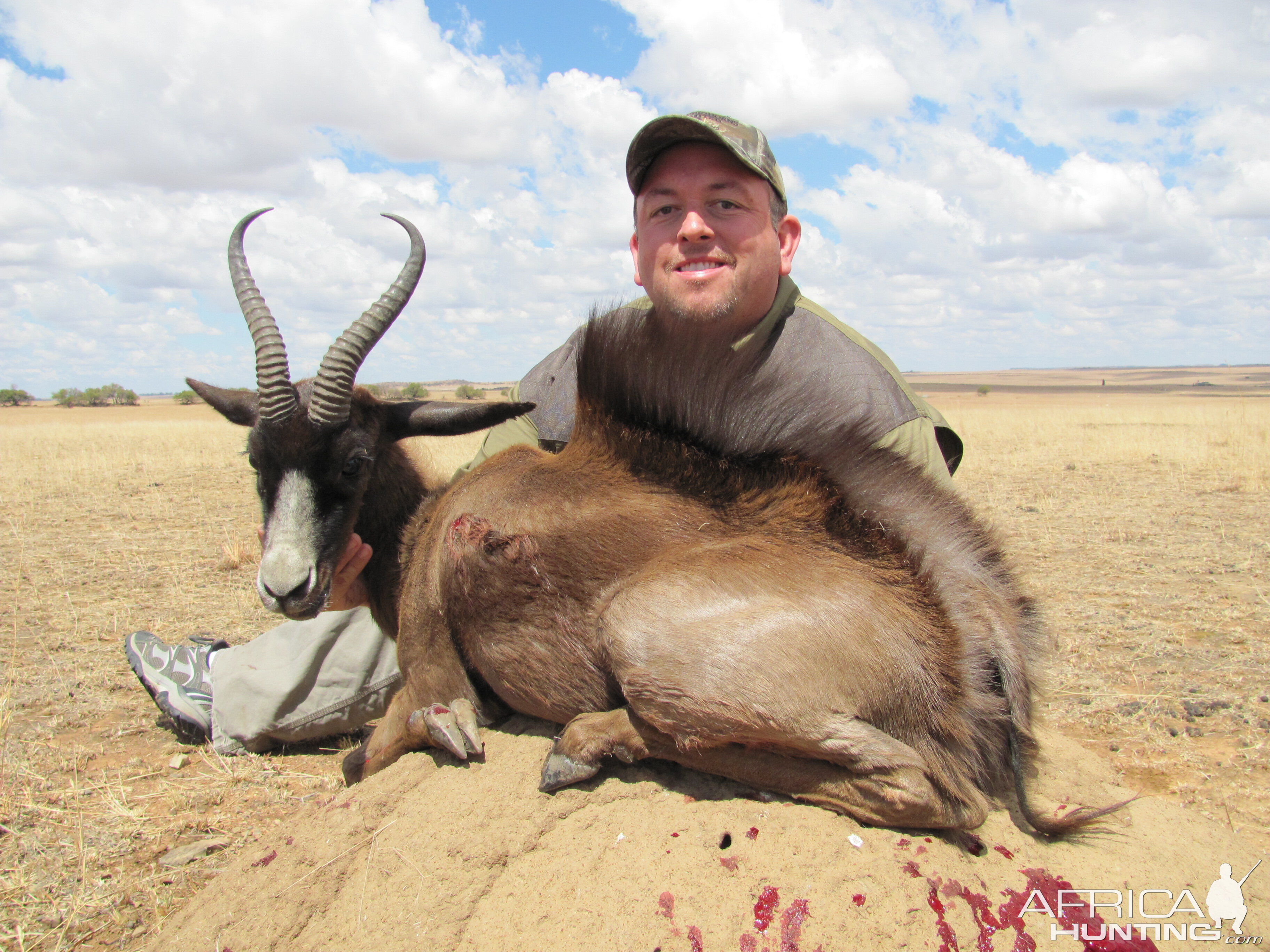 Black Springbok