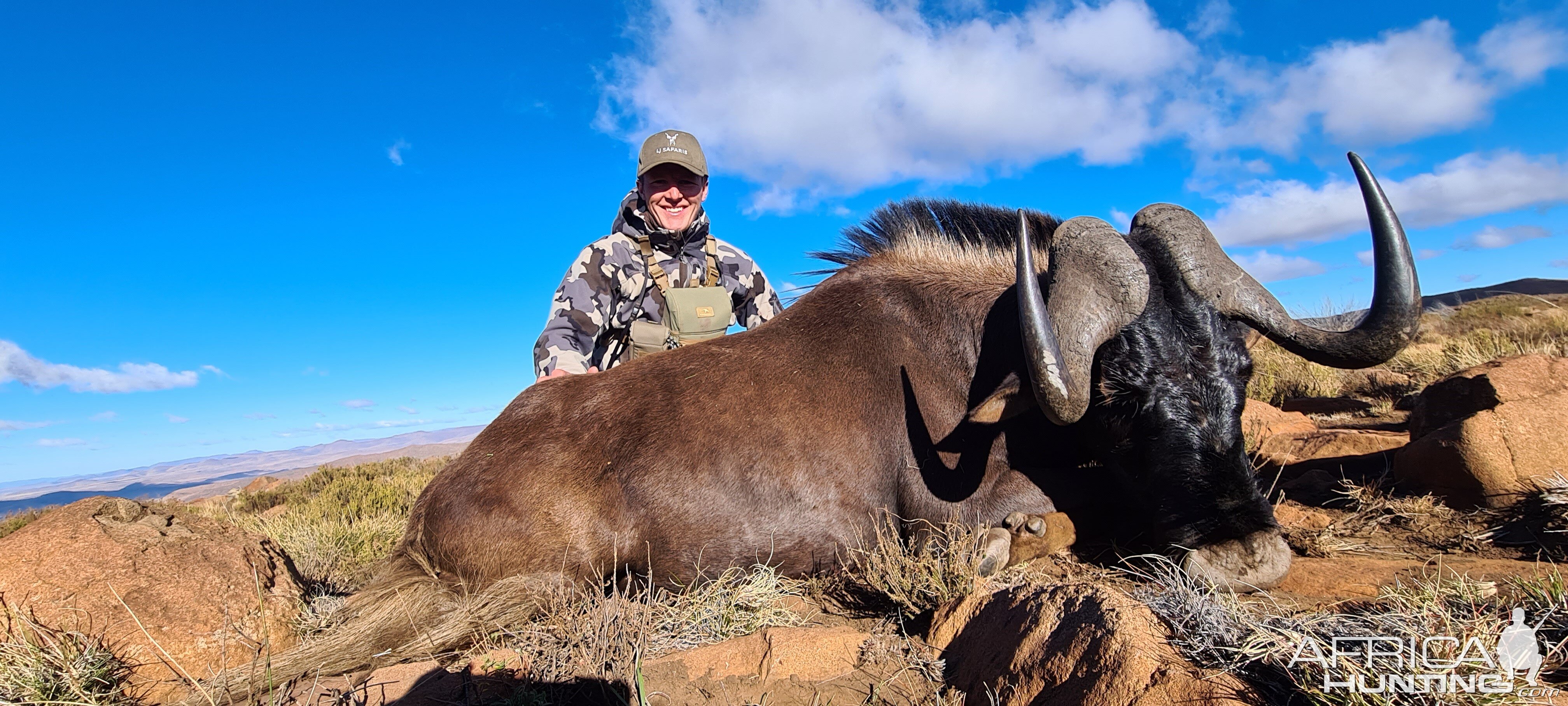 Black Wildebeest Hunt Eastern Cape South Africa