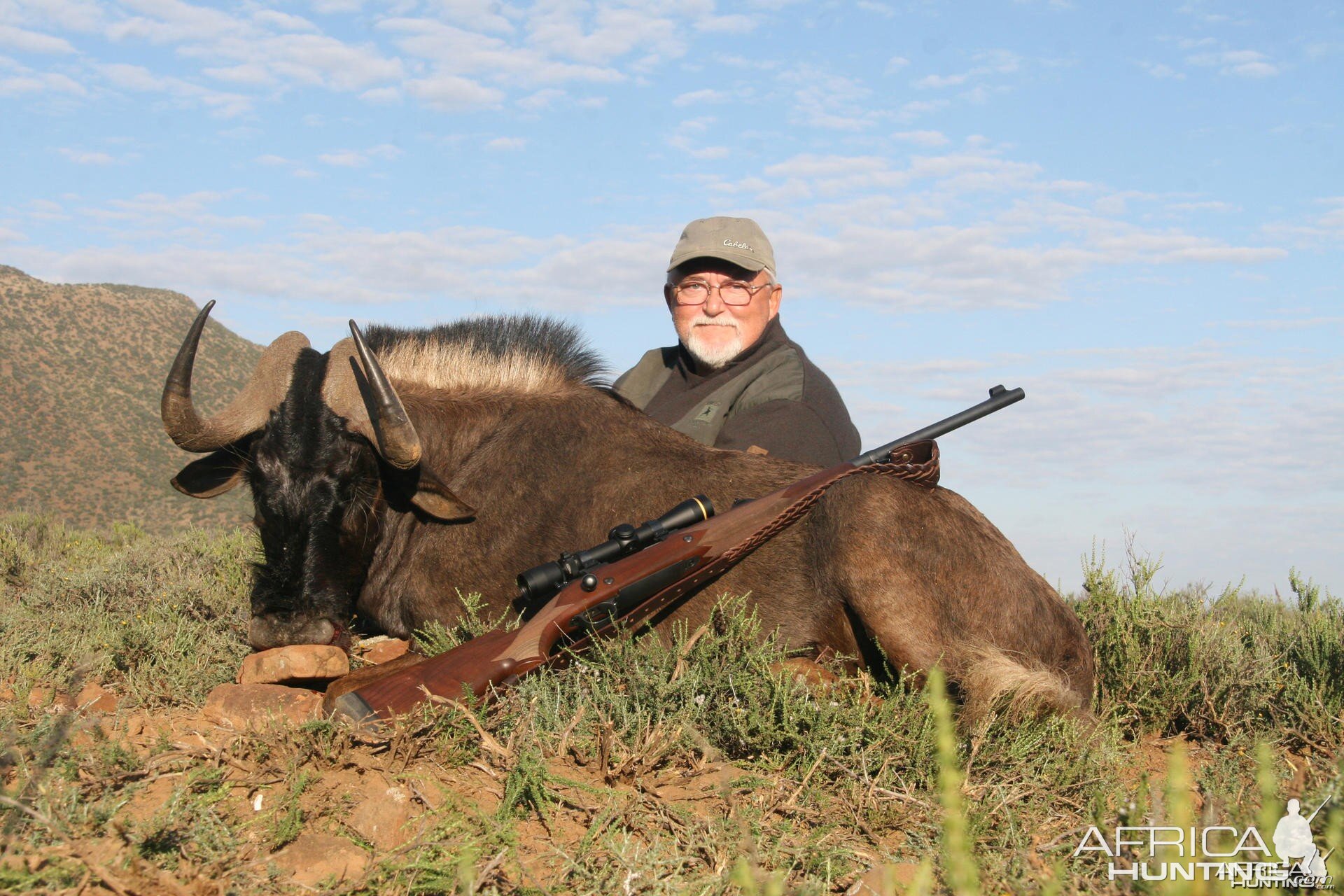 Black Wildebeest hunt in South Africa