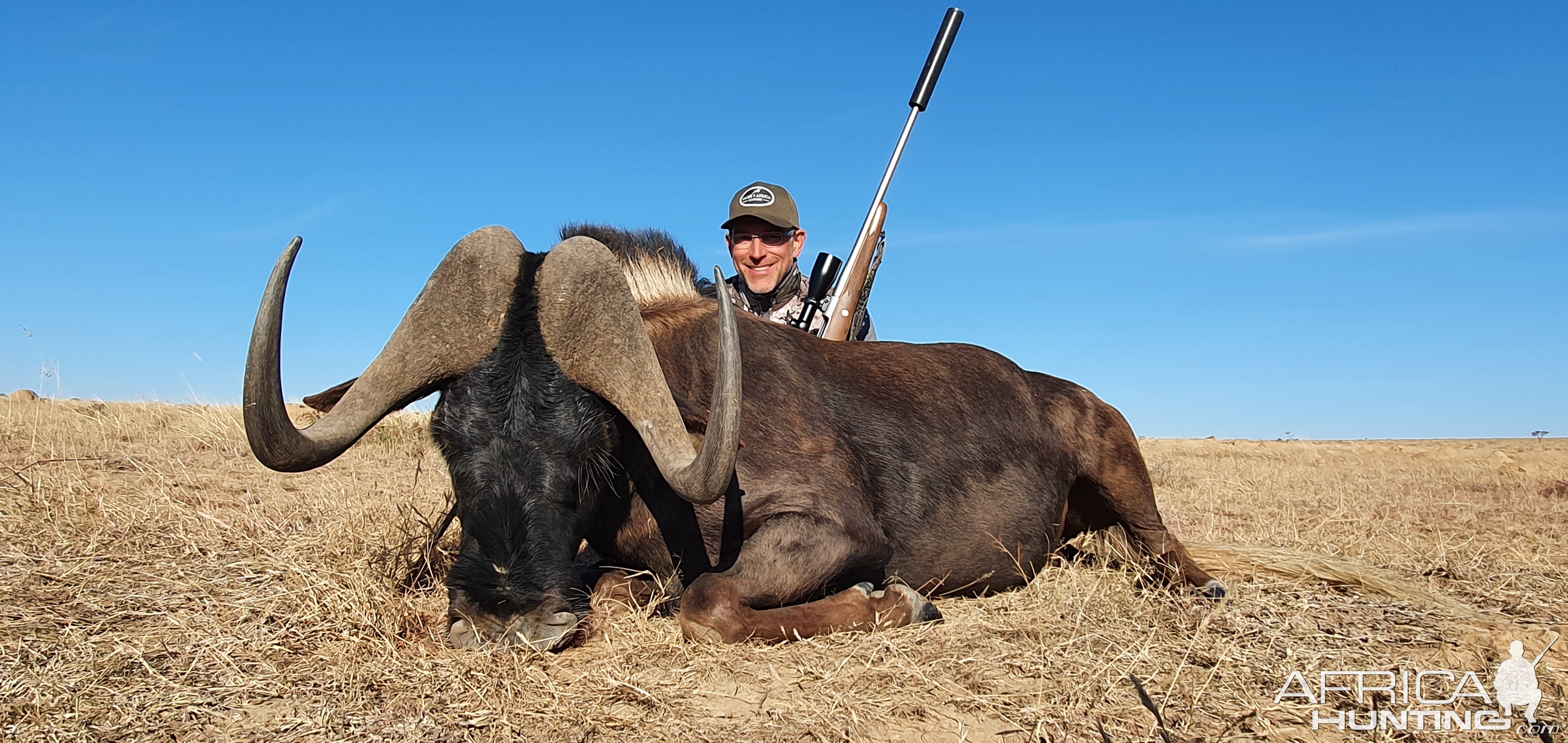 Black Wildebeest Hunt South Africa