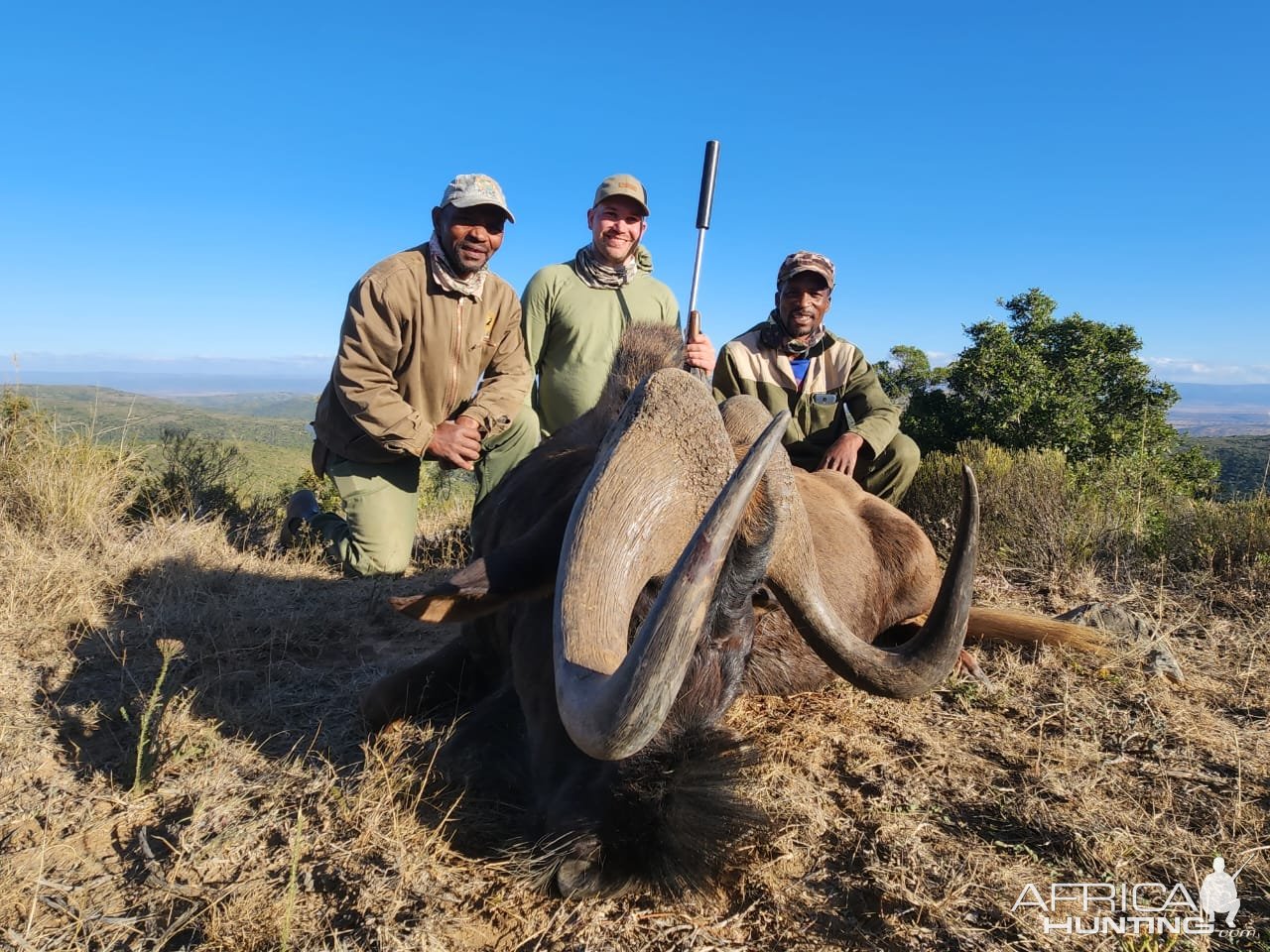 Black Wildebeest Hunt South Africa